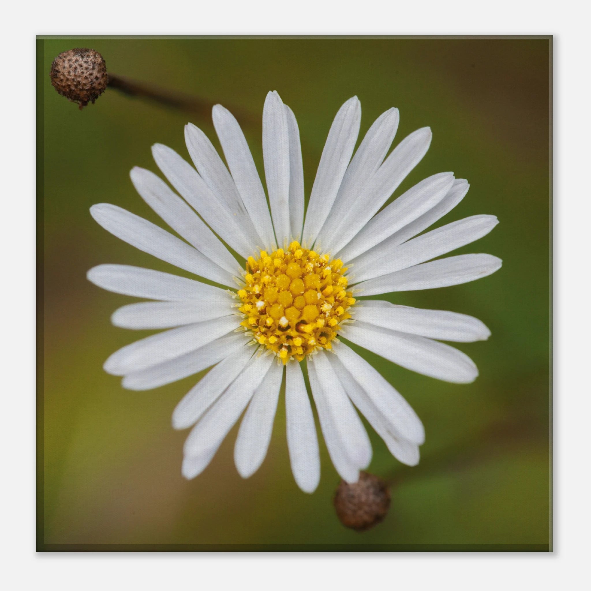 01101da3-ce67-4c8e-8576-c3f9f8165510