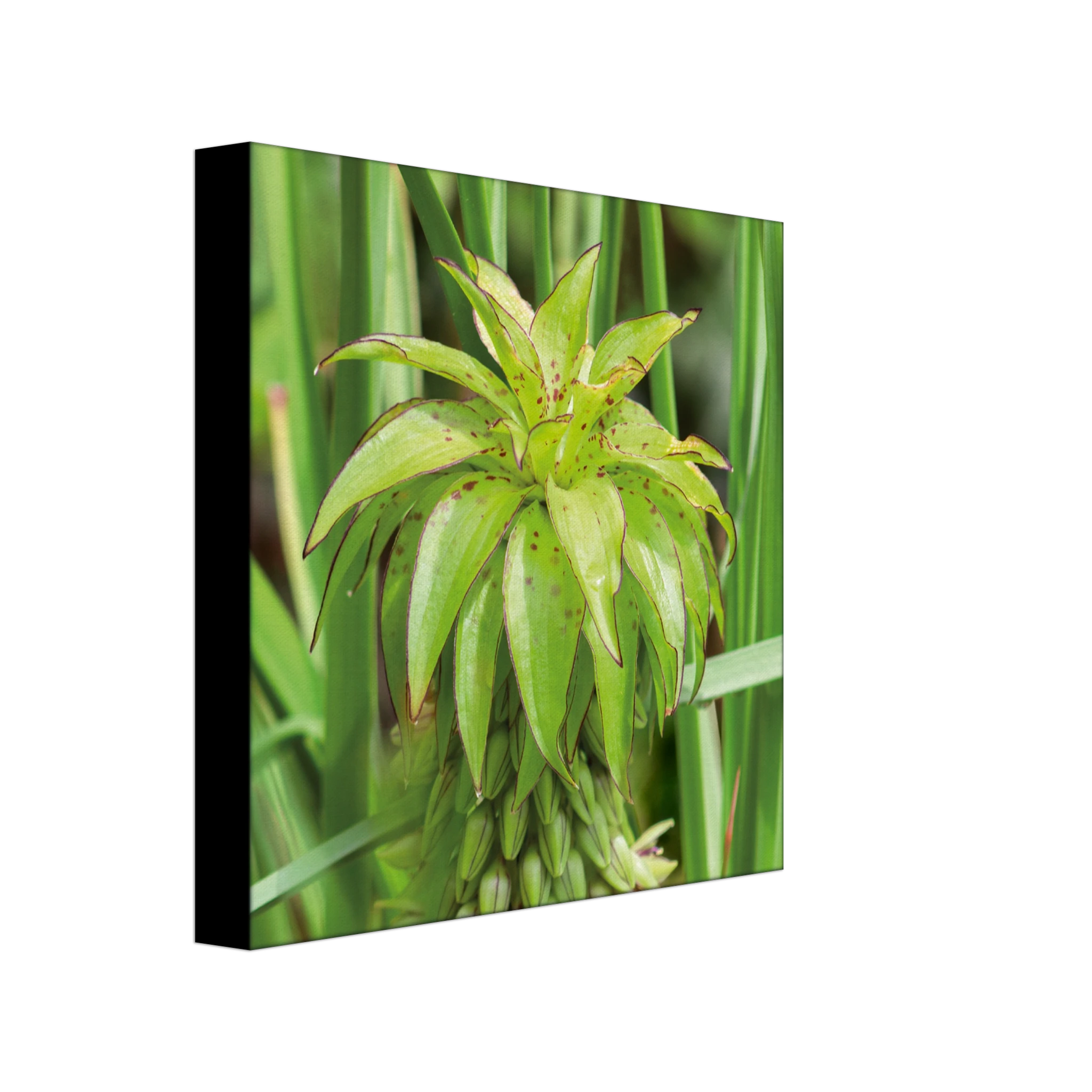 061c7358-2a30-4c4b-8f1c-38d6ad483ab4