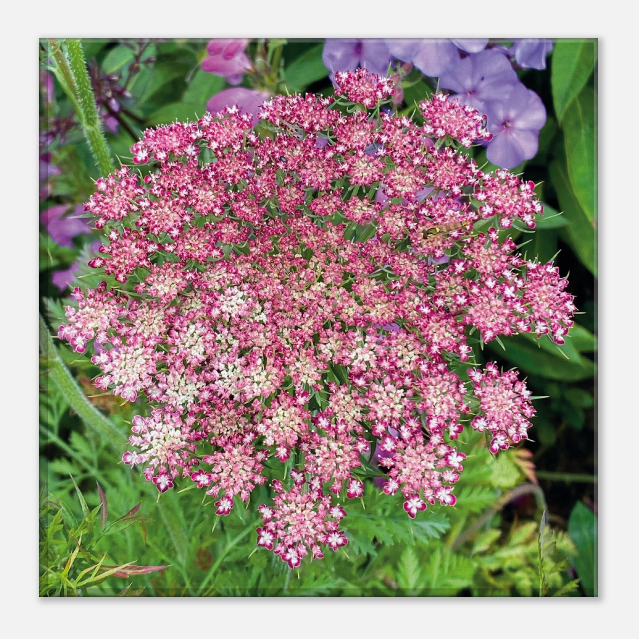 07bb9aa3-94af-4cf8-8d8e-a43e5e0ebca2