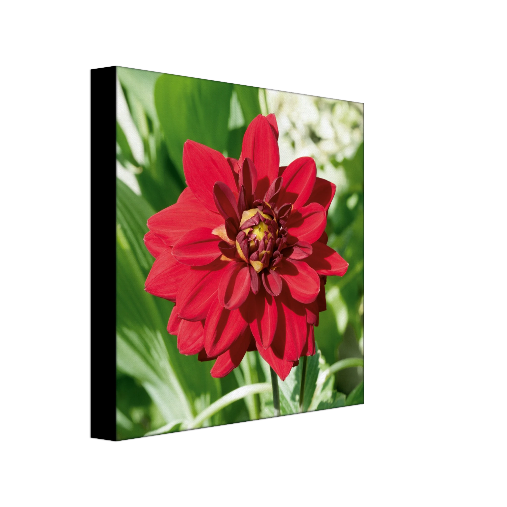 1115850d-02ba-49c1-bce9-89356f246076