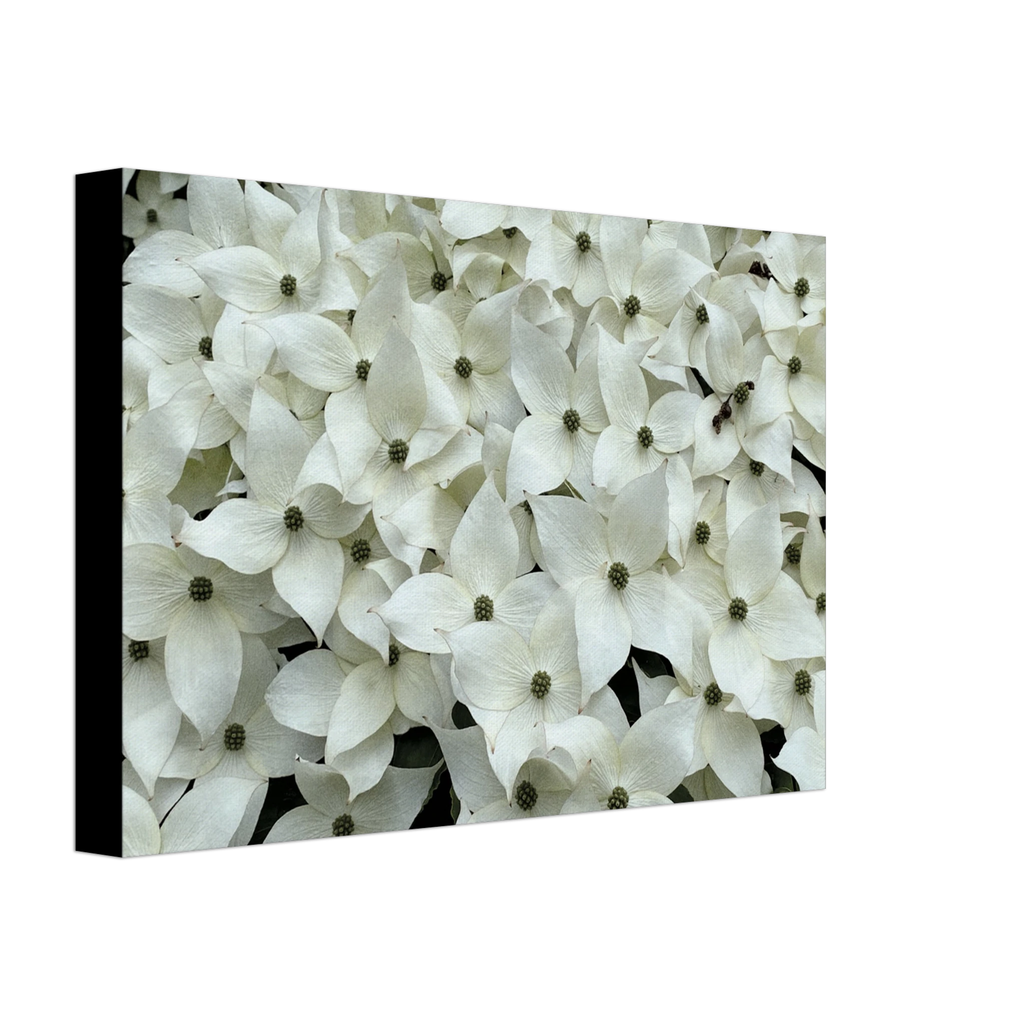 115a98f2-ffea-43de-9f00-5e3678279047