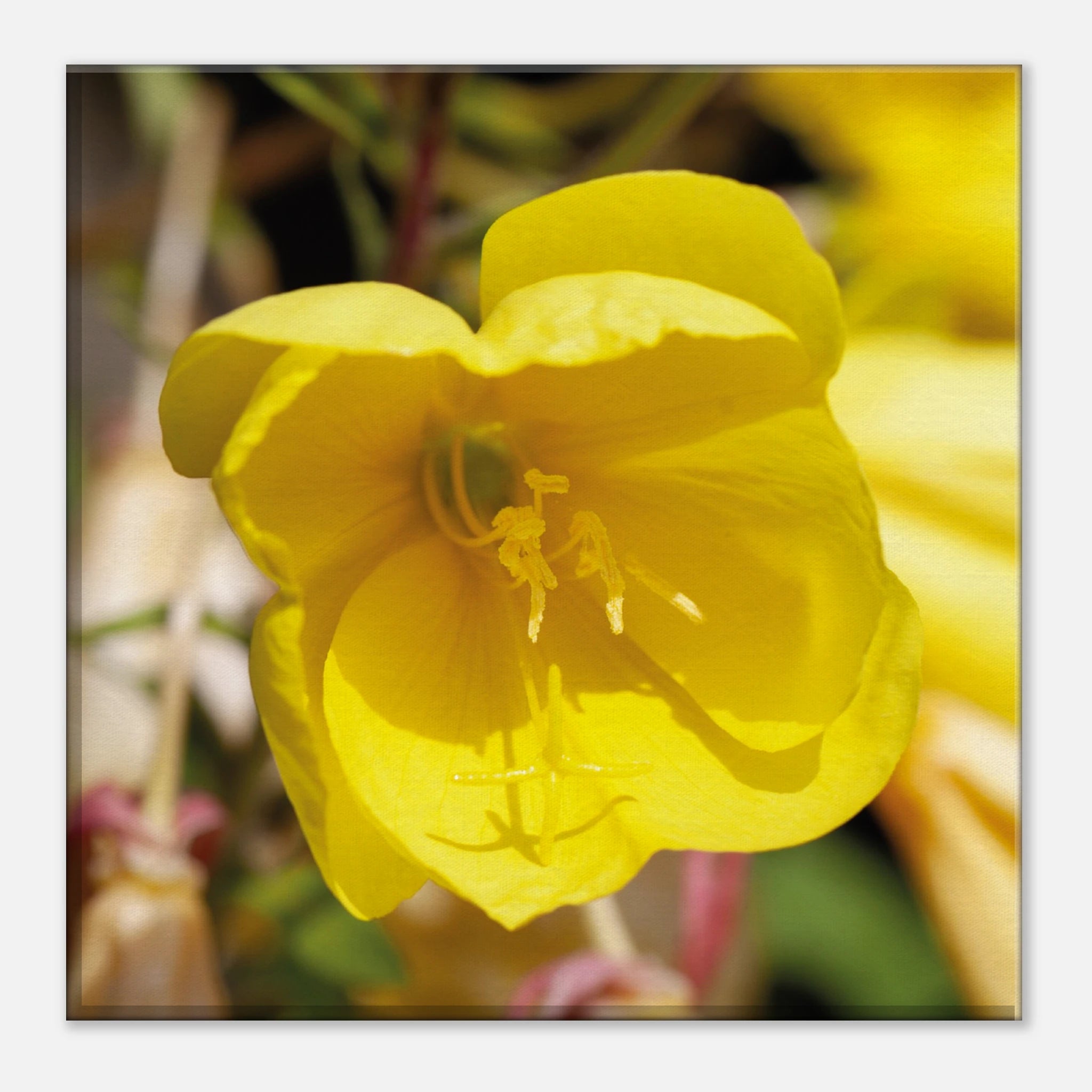 13402175-6c74-4c27-a37c-5e3cfe3e1682