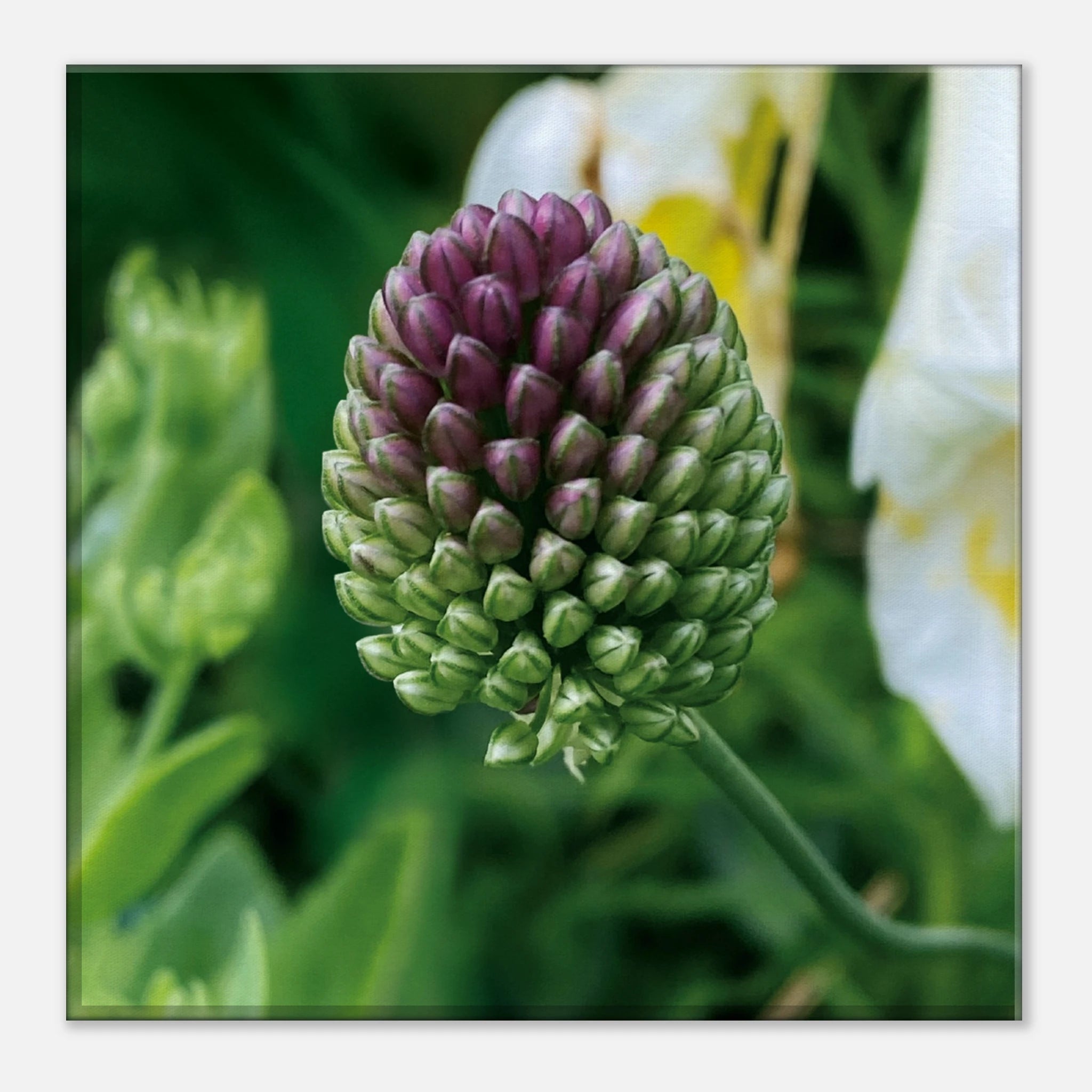 16d39615-aa99-46bc-b28e-14e336c8a604