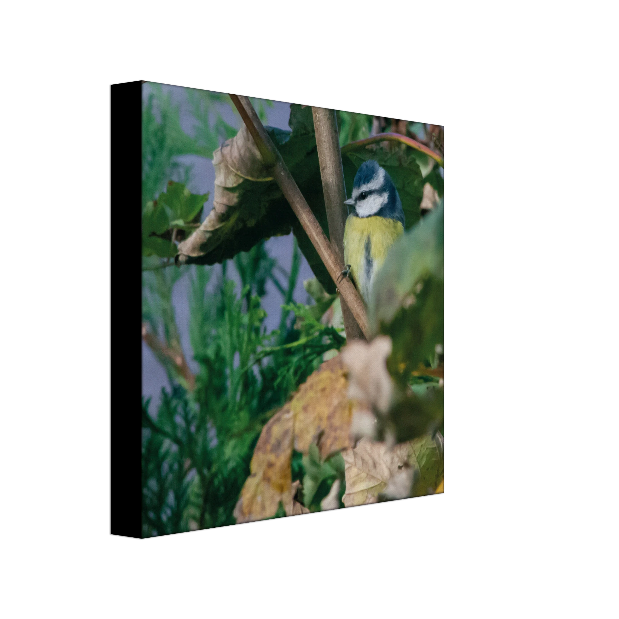 19c2e7d9-ce50-46d1-9bfa-adaa10e30f03