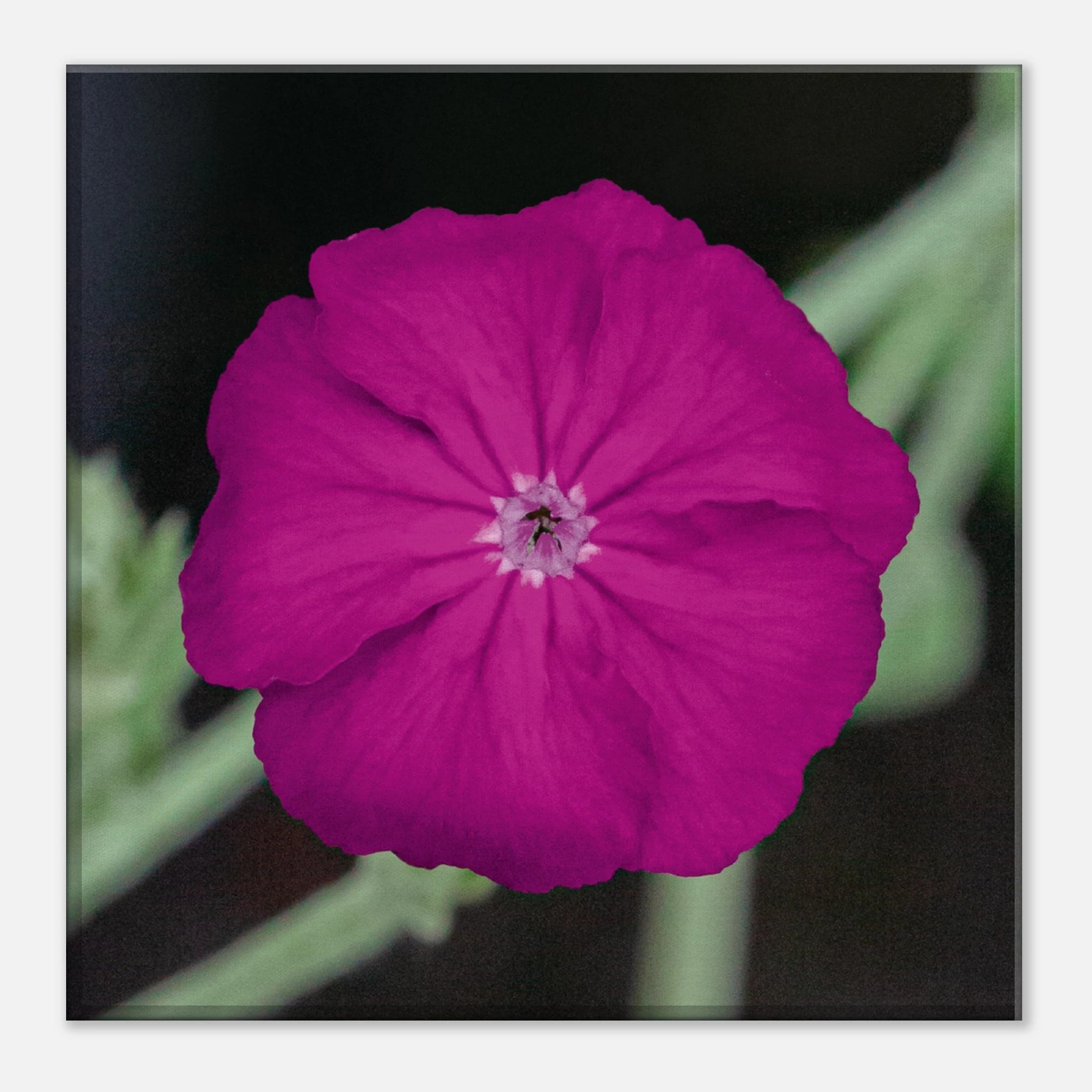 1b0725ee-d080-4043-871d-81d78aa15474