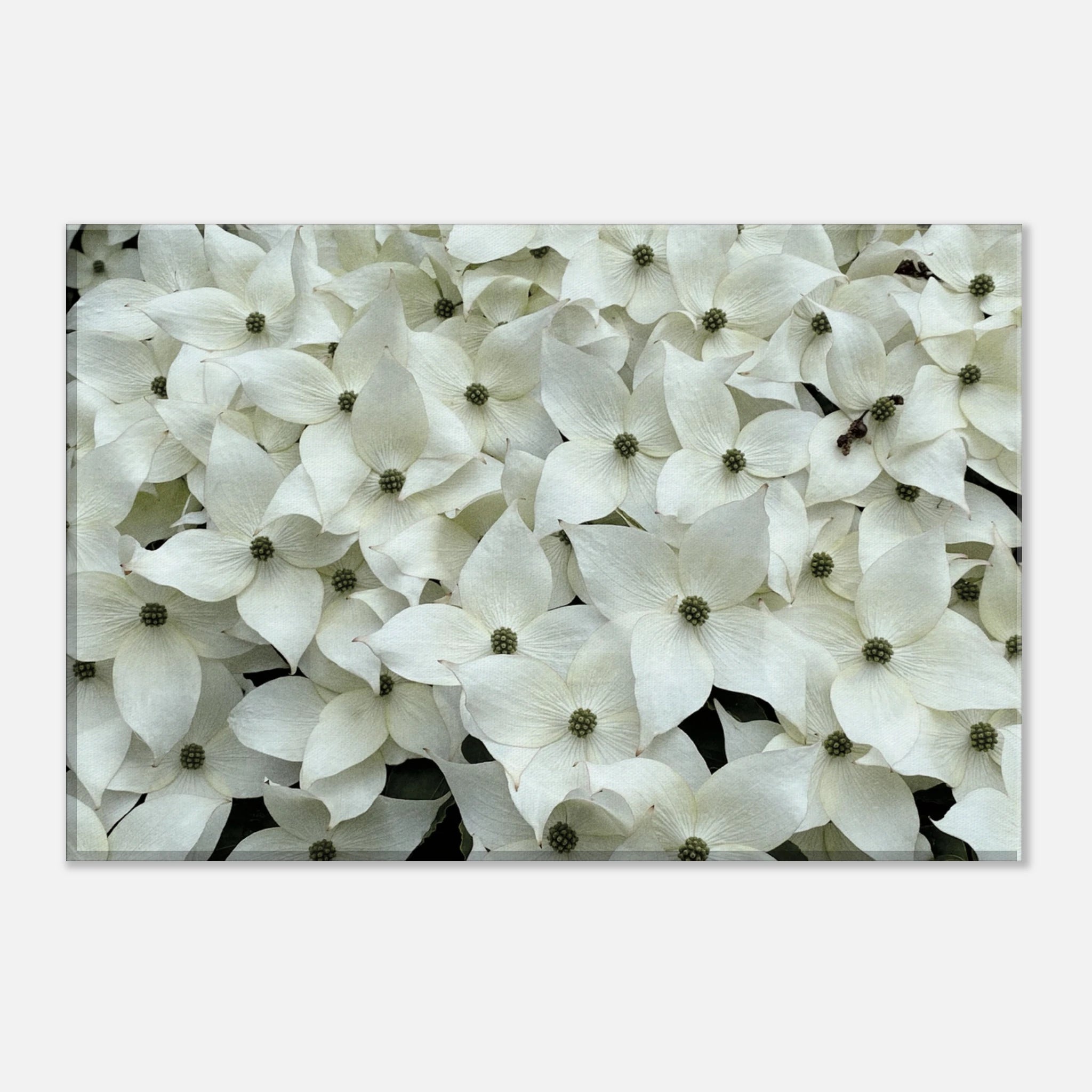 1ce2230f-5040-4eff-a627-a8588a9dc640