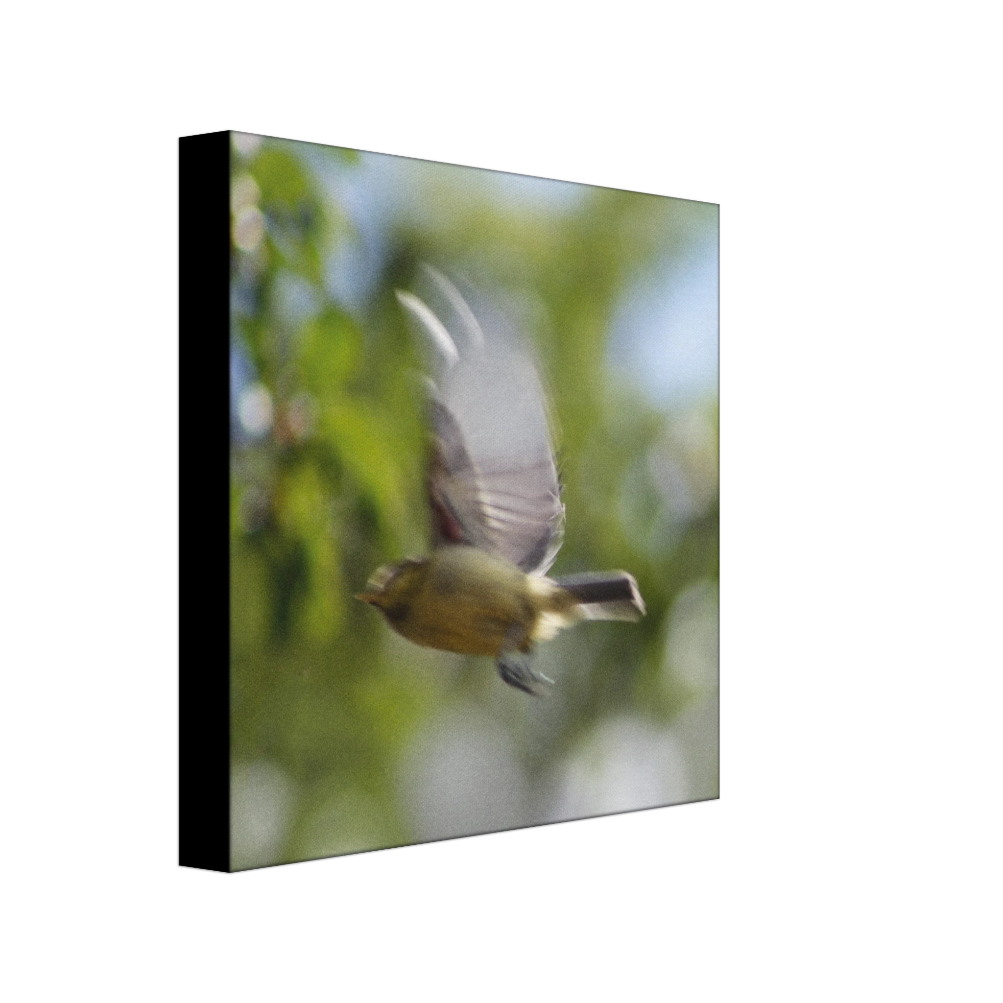 1f8d99f3-971c-41bd-943d-48c4bde47a44