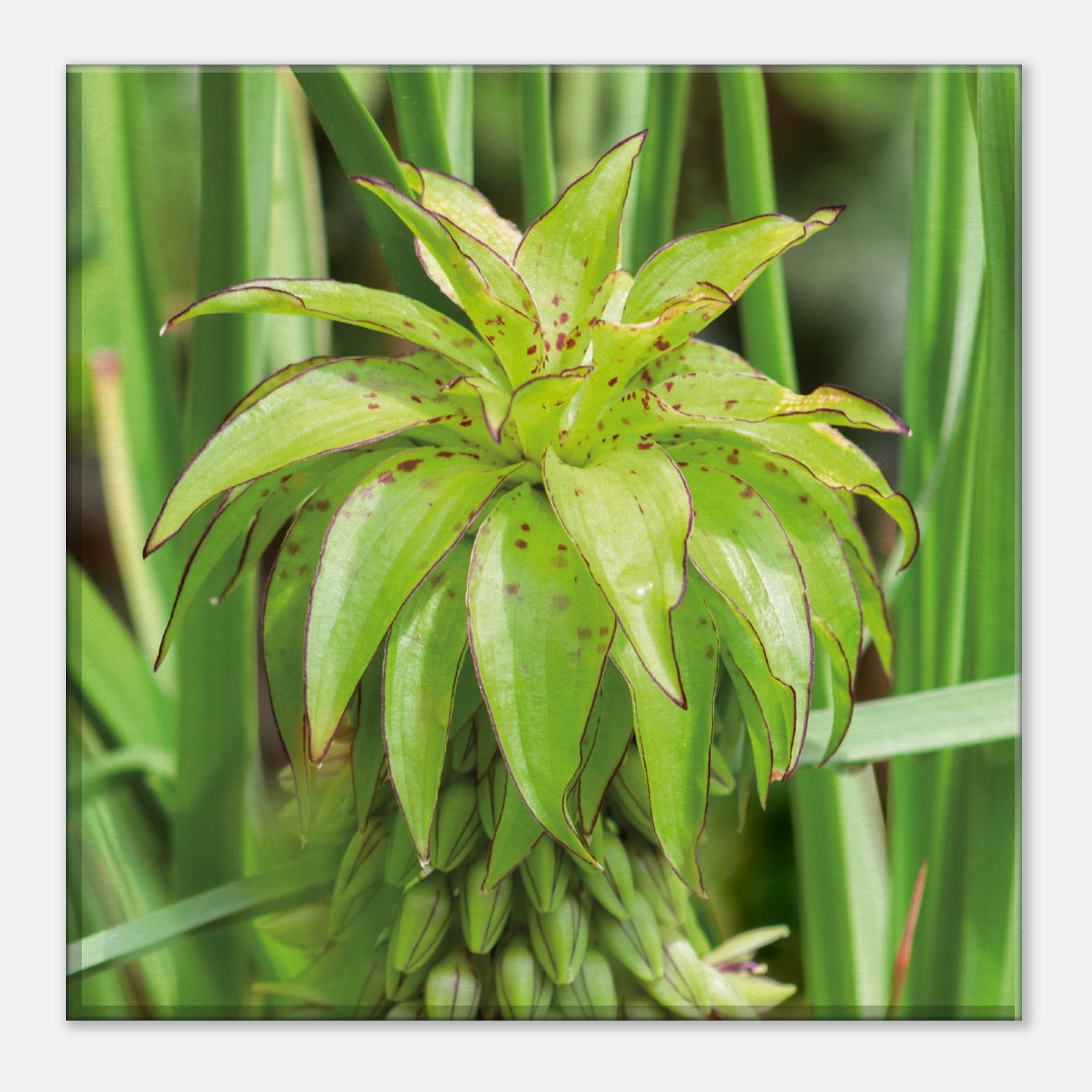 20a52932-0ad0-4855-813e-18649ea0c97c