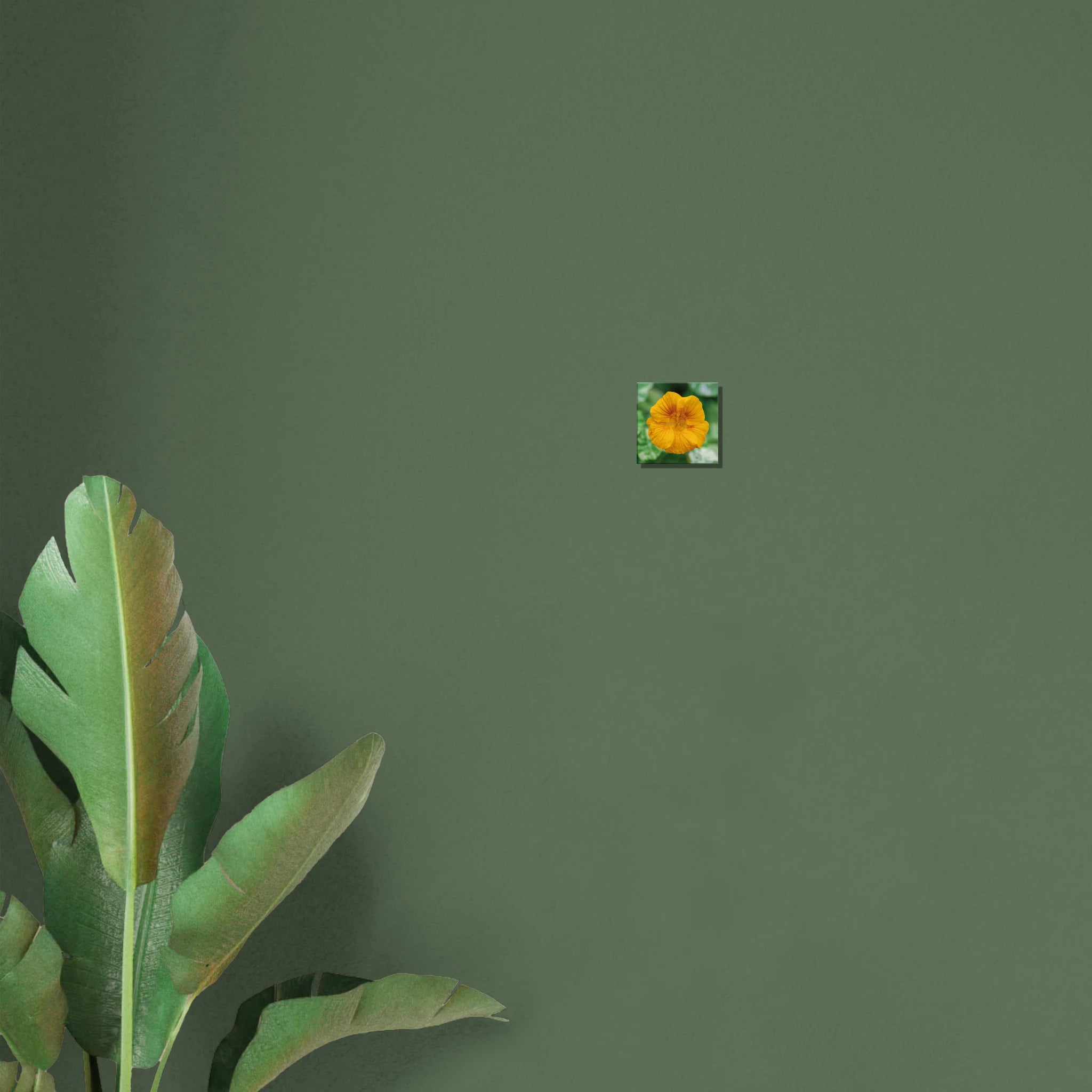 22ae6a5f-3a93-4c49-bac1-6a8fedcc432c