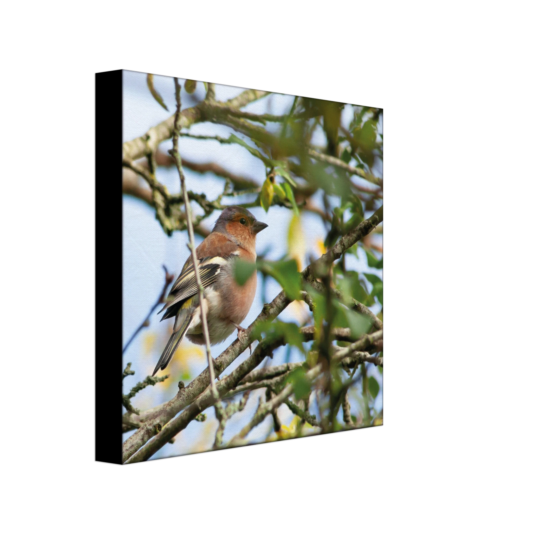 24b00142-32ad-4e2d-ad0b-e2ce24c854e2