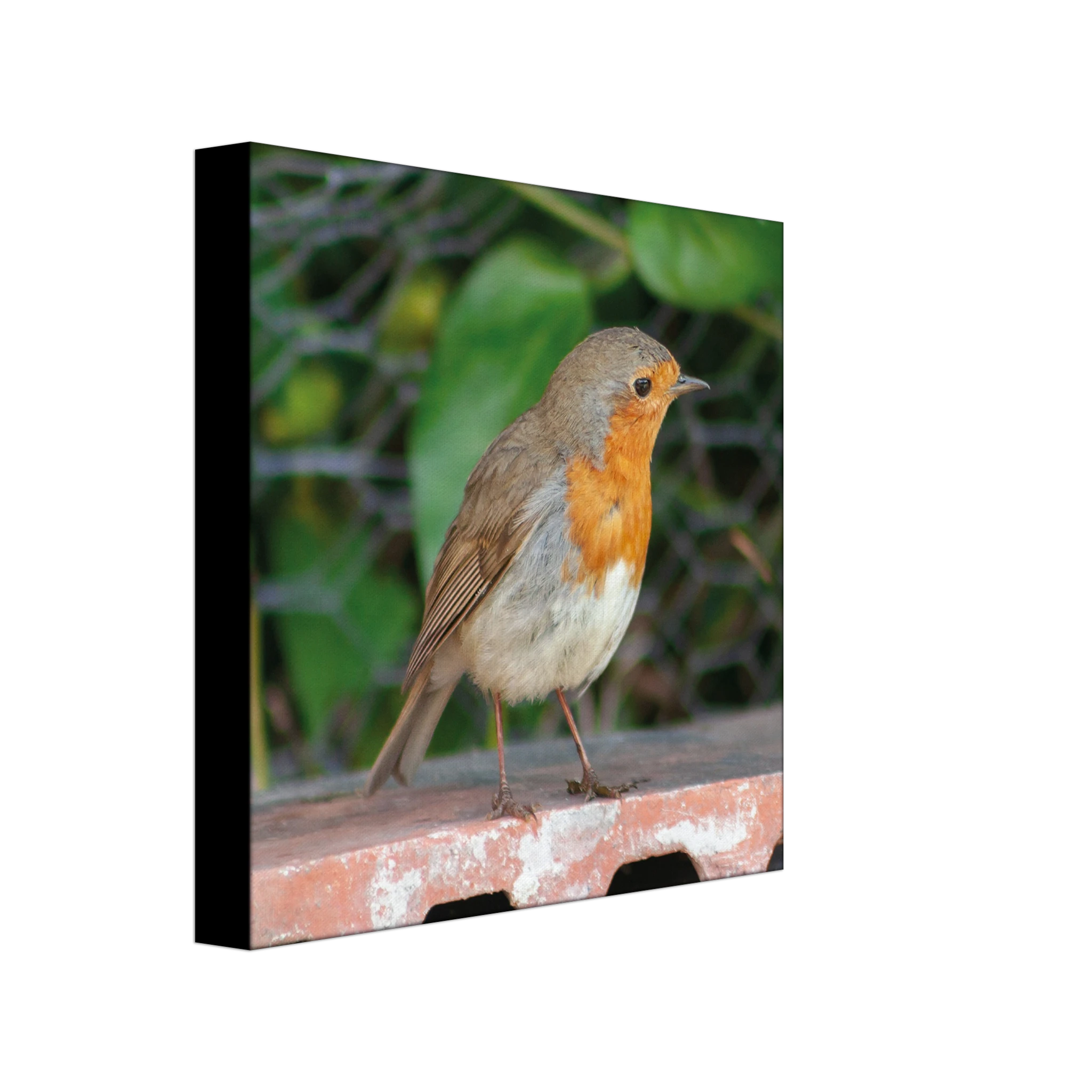 27ac9980-786a-4775-bd6a-dc6abca4ebfc