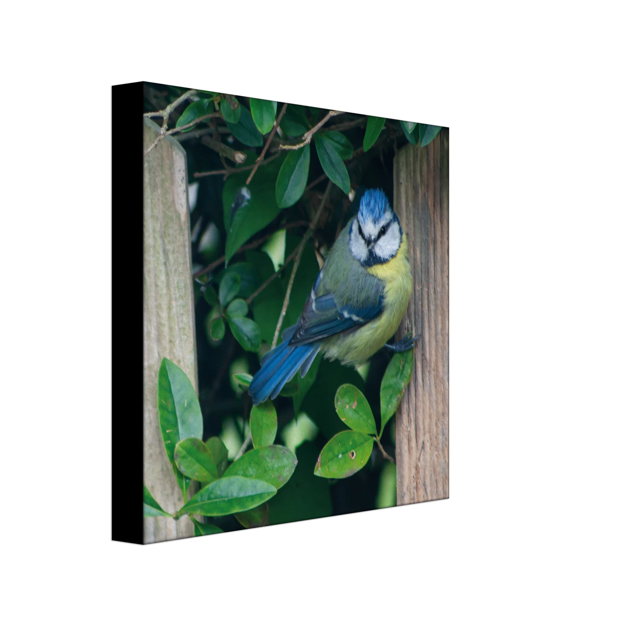 2fc207b3-d22e-4706-bc76-0f25fd733acf