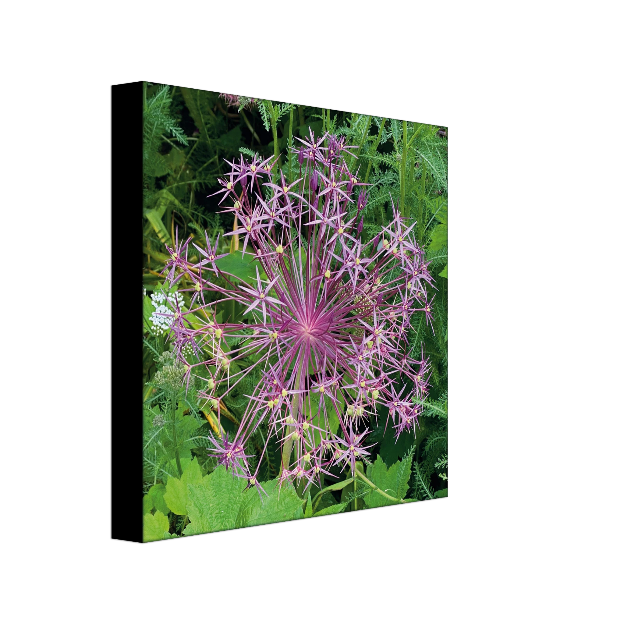 31125081-02e4-4eec-aaf2-e6990f94073c