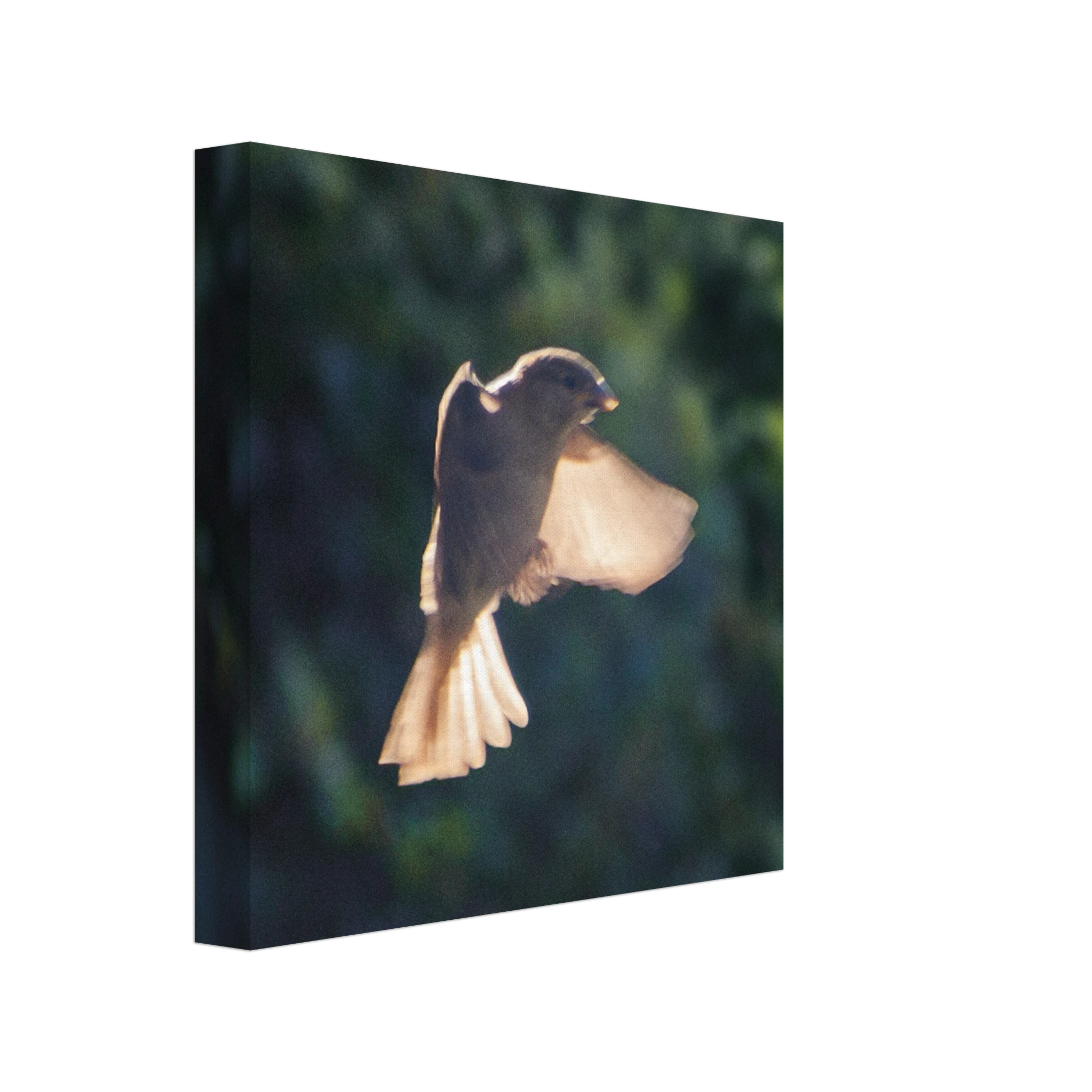 34384af1-c2f7-4629-b1f0-5a28dded9076