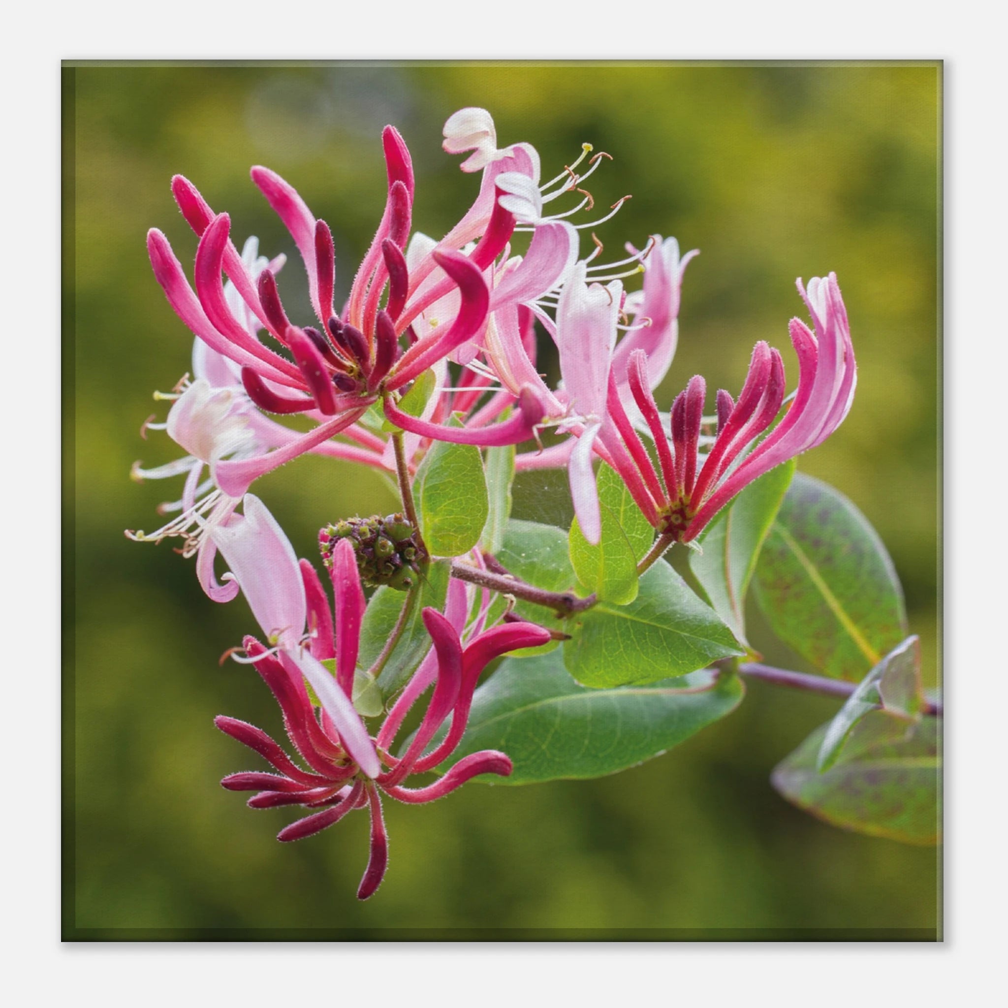 345107e1-4461-4435-b64c-0f4052481ce8