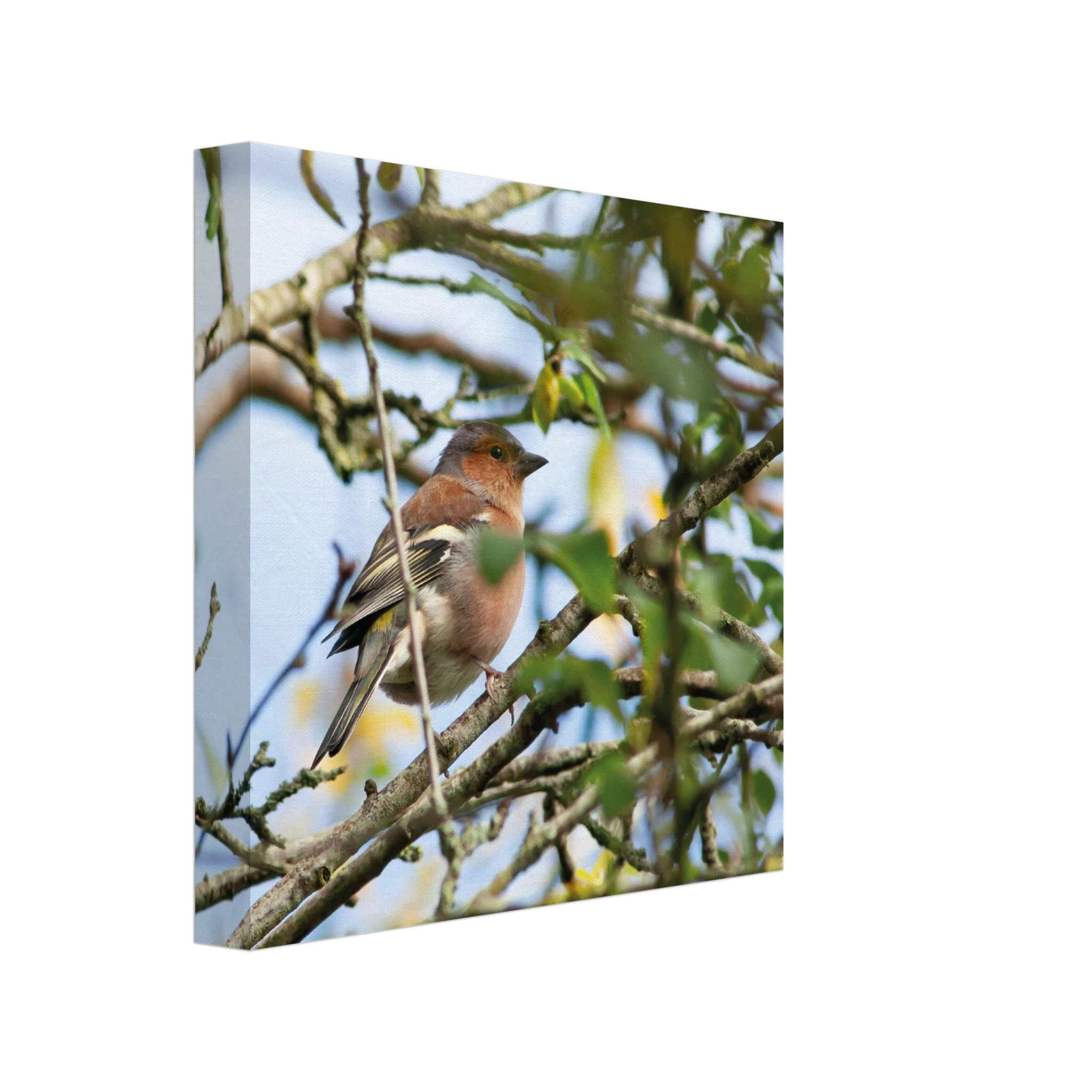 36bc85ee-282d-4416-9bd6-480269cb91ca