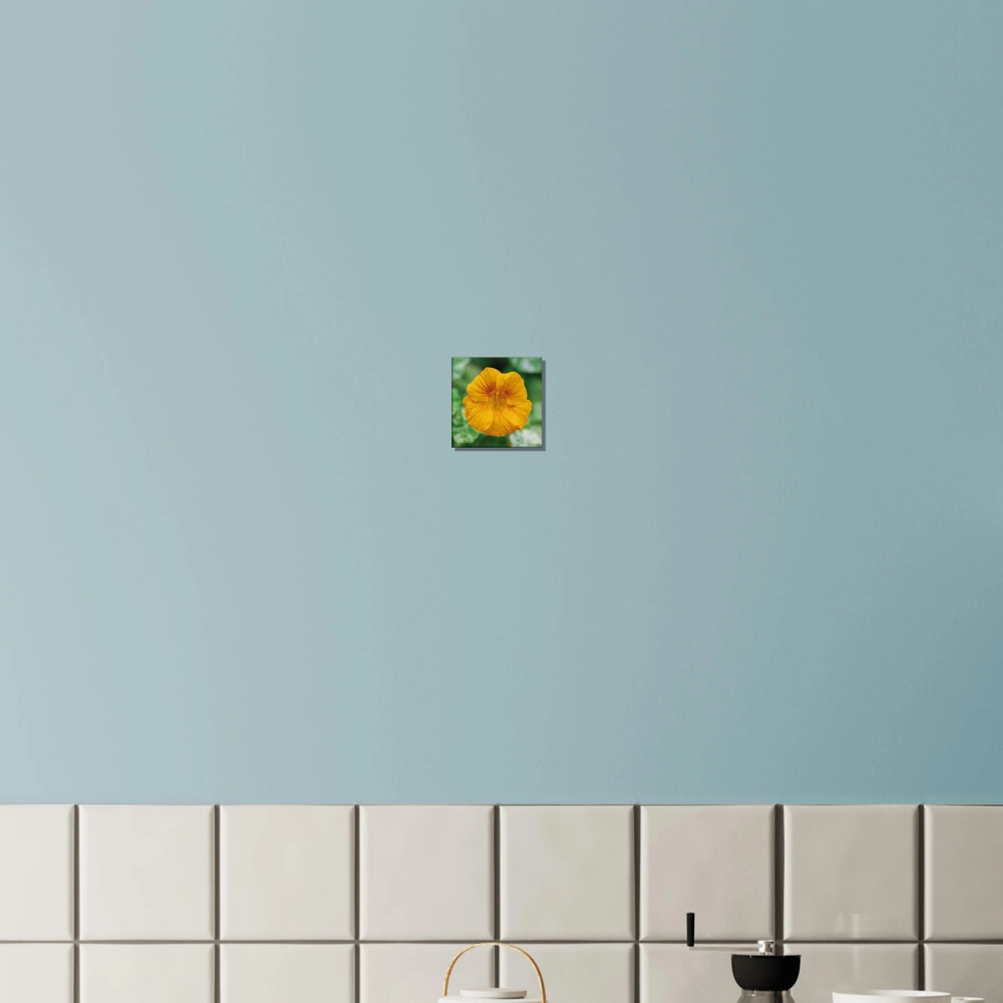 38bff514-811b-4677-a3b4-a153ad80640d