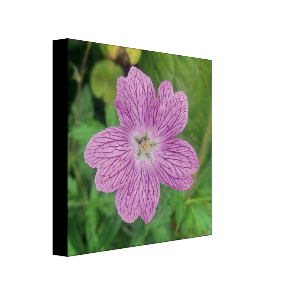 39d48474-a53a-4b47-8f1a-d8fb85957395