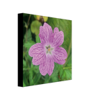 39d48474-a53a-4b47-8f1a-d8fb85957395