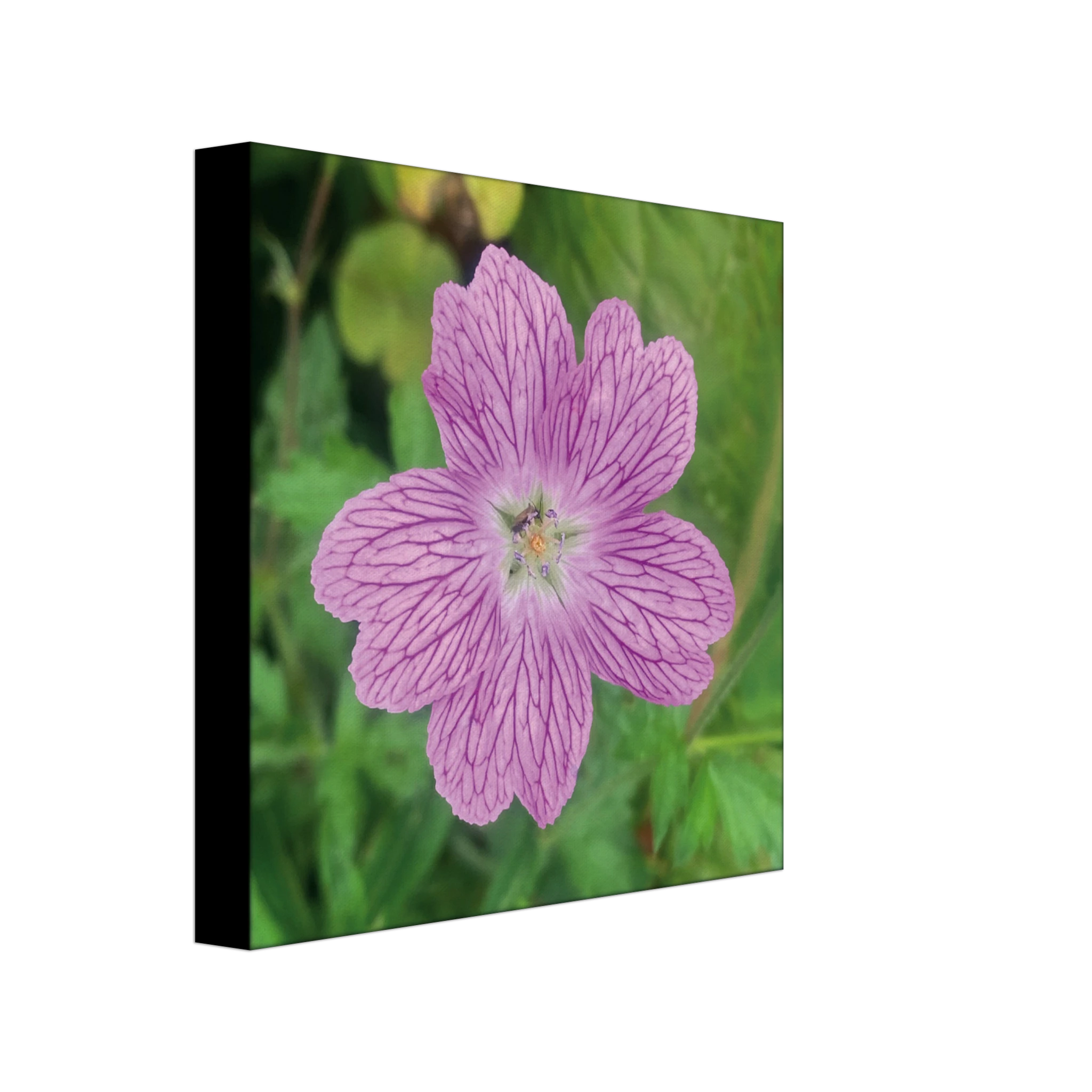 39d48474-a53a-4b47-8f1a-d8fb85957395