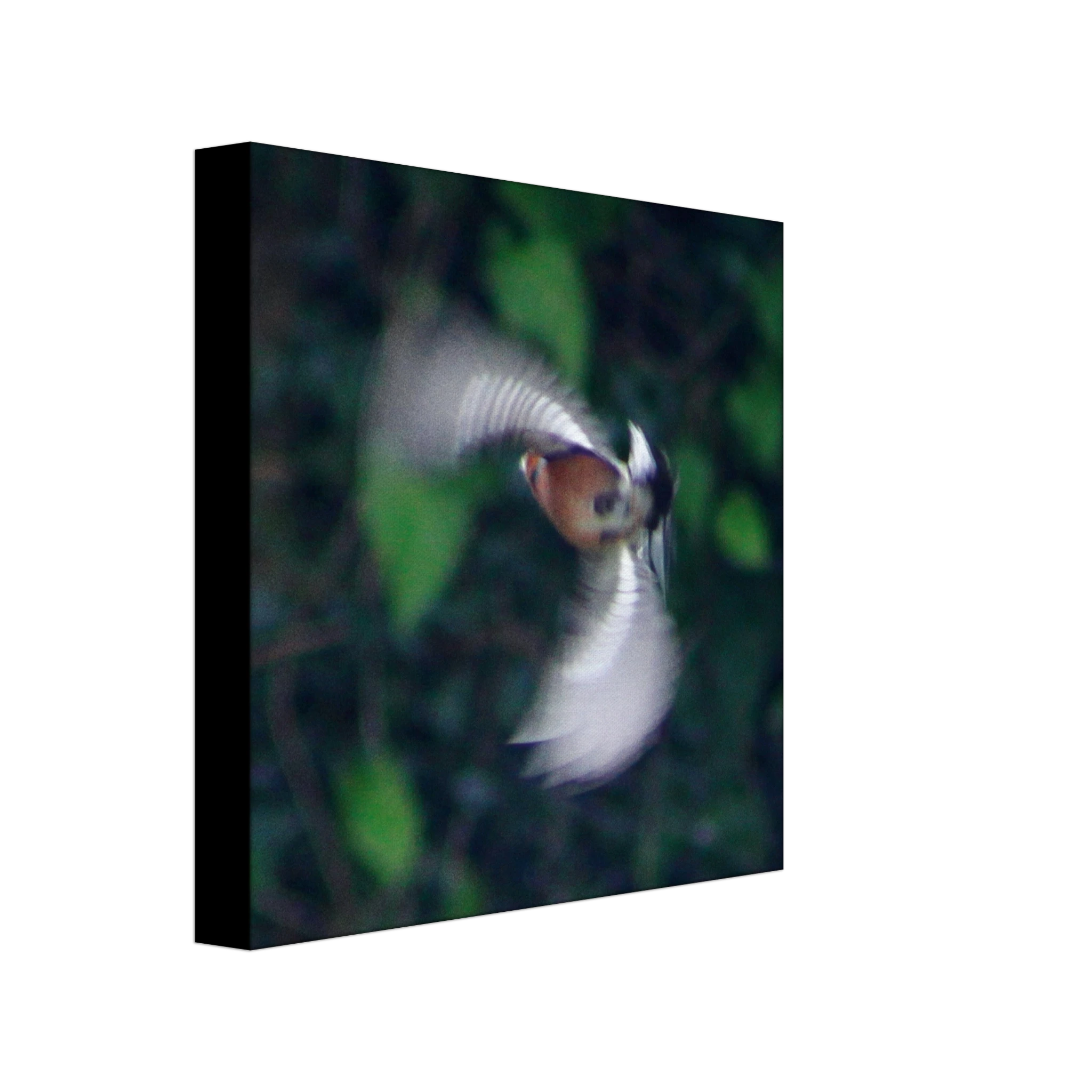 3a0ec757-6103-4538-ab14-c23738d68c5b