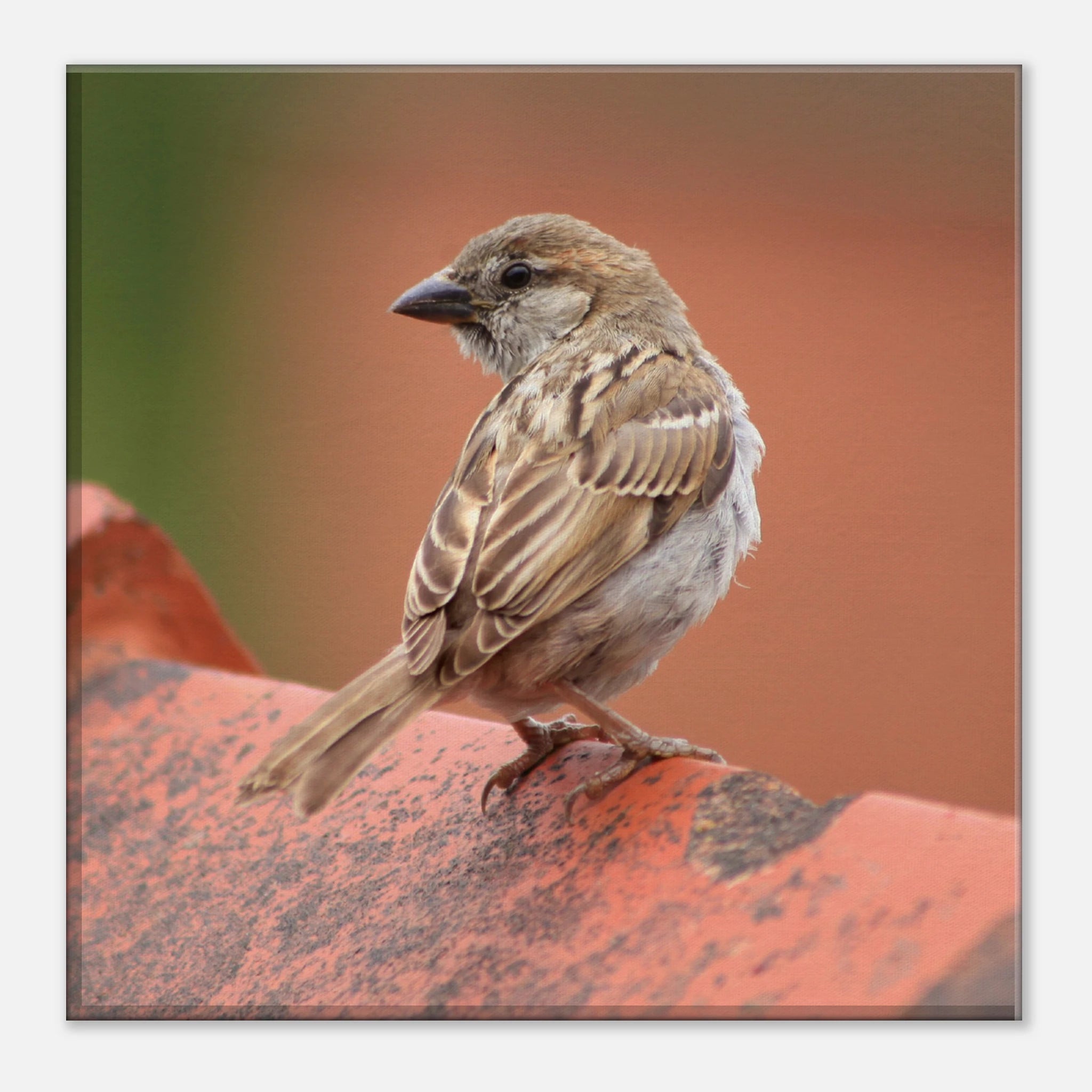 3c3e2f87-9a40-44e2-bbf6-49179c235cfb