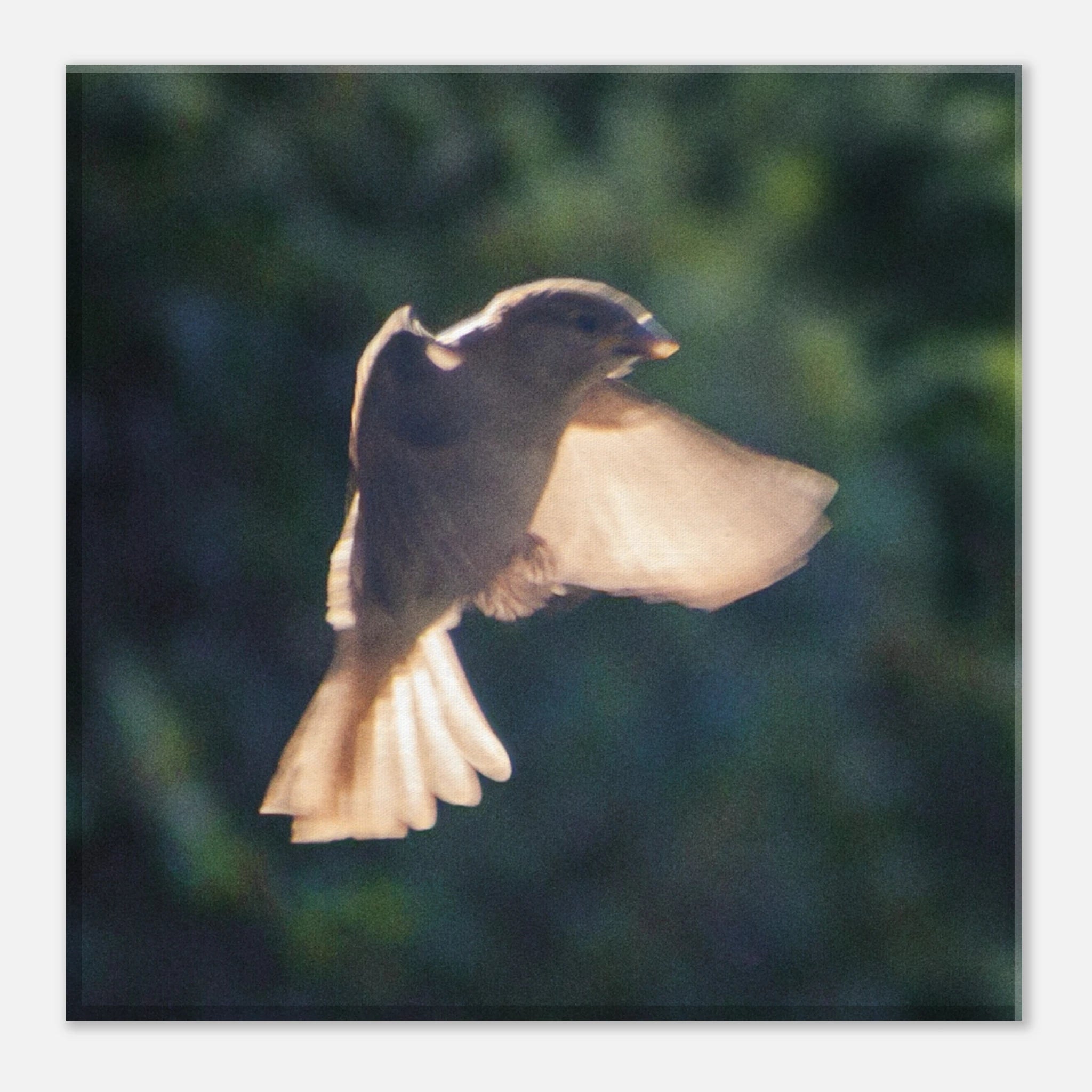 3e922b08-7994-48cd-9e73-bf2ea7ac6d1e