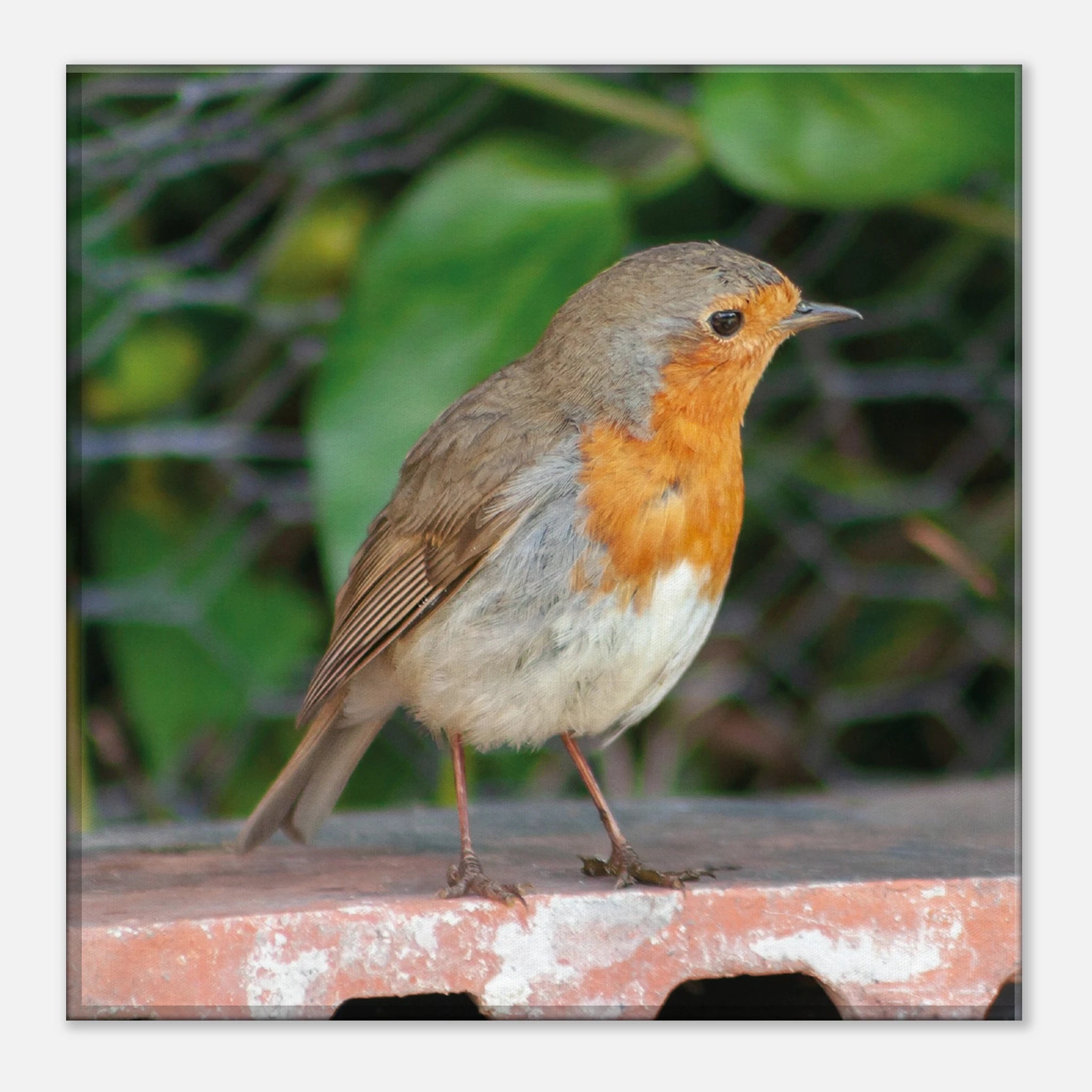 3ff88705-a9ab-4ed2-9726-520a7b28d091