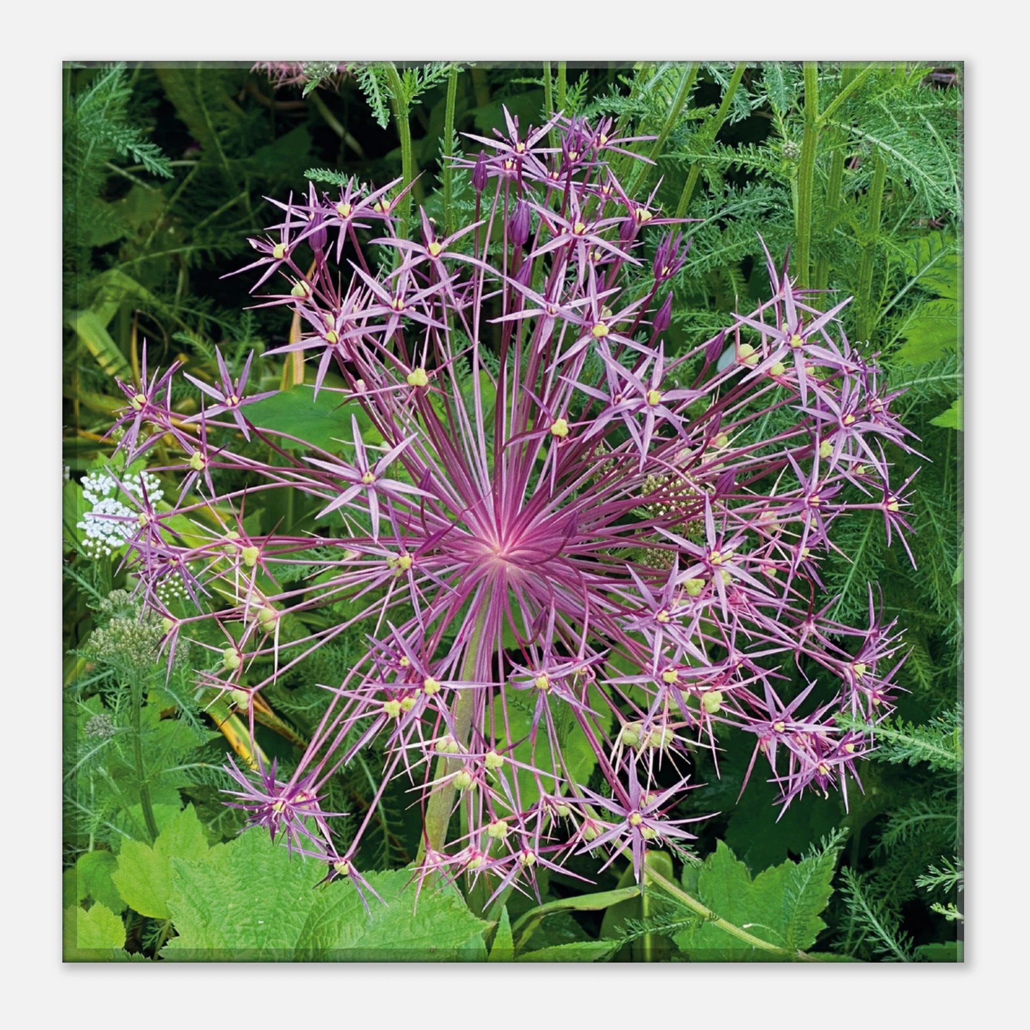 4754e96c-7ad9-498c-8a8c-cd411ac19567