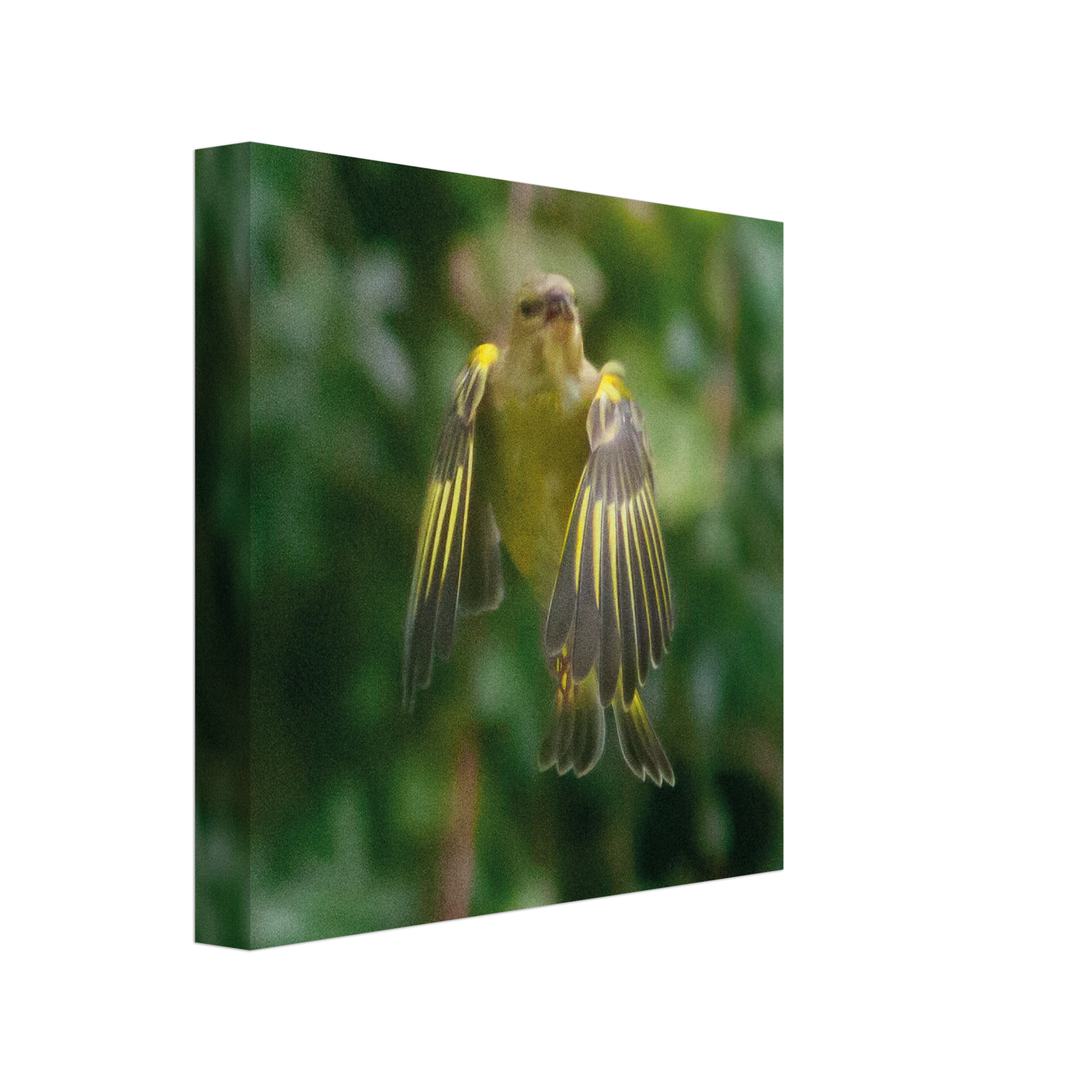 4b8fbbf3-4a64-4934-b007-081ae42148fc