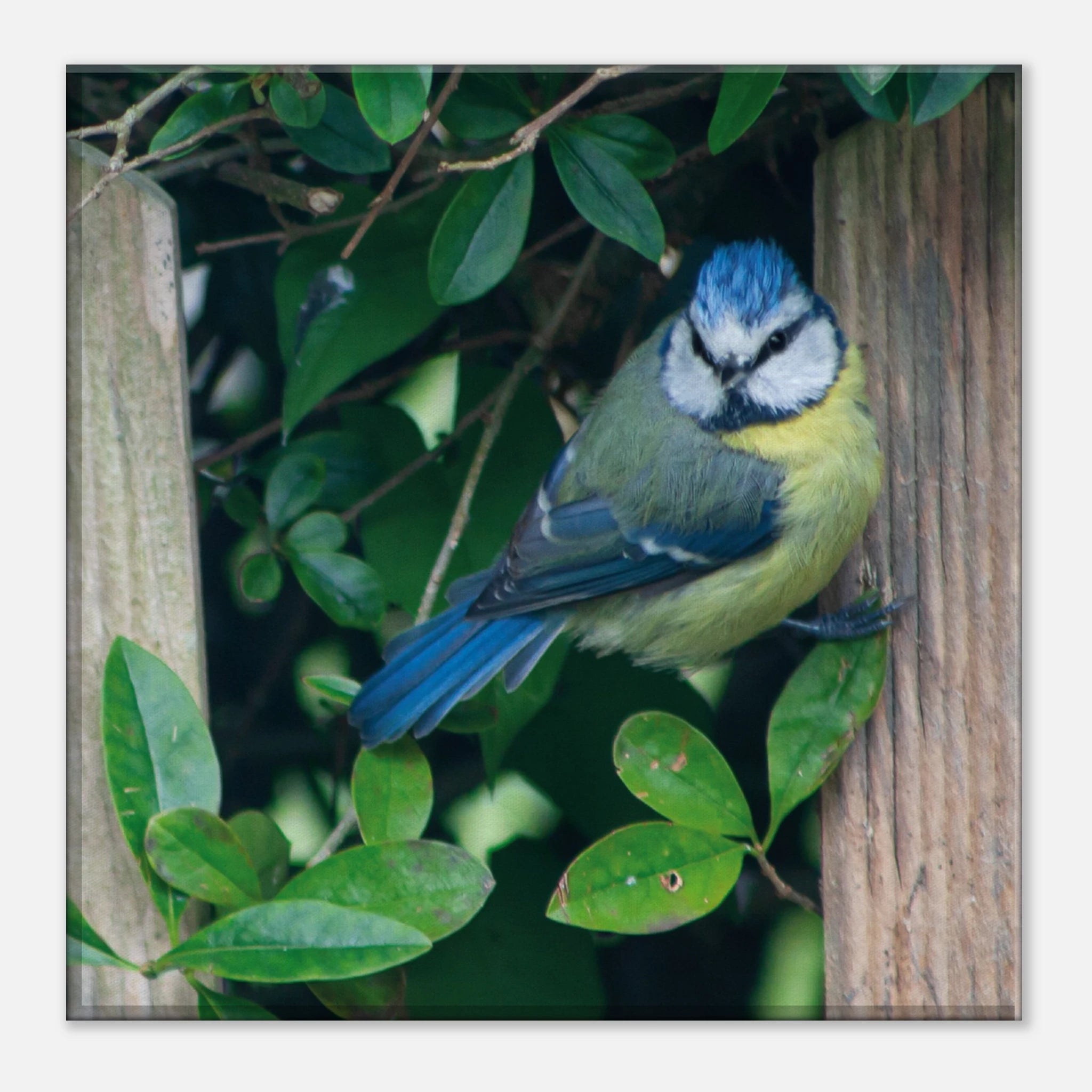 4c1687d0-e61d-451f-a923-13564cc01de1