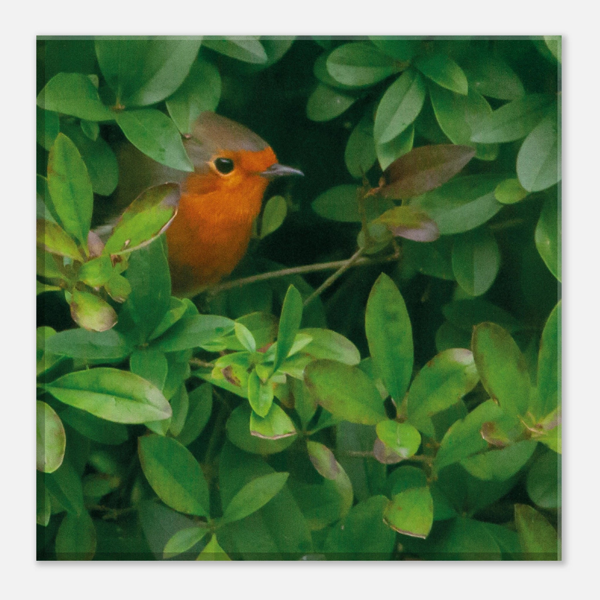 4df68e37-5cf8-4376-9fa0-29a78eb0ef1e