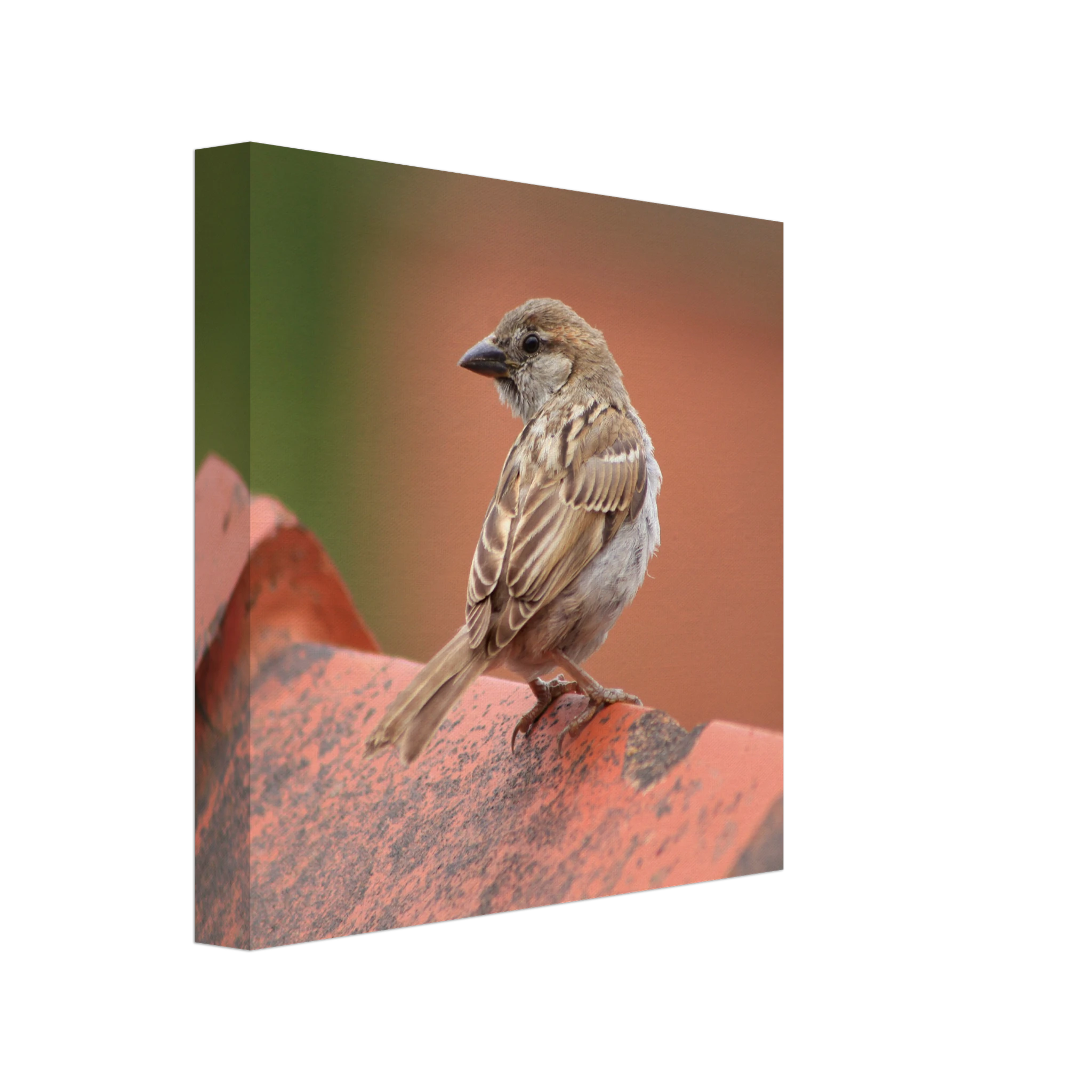 5319492f-27be-4a03-a9e8-dca33ee1573b