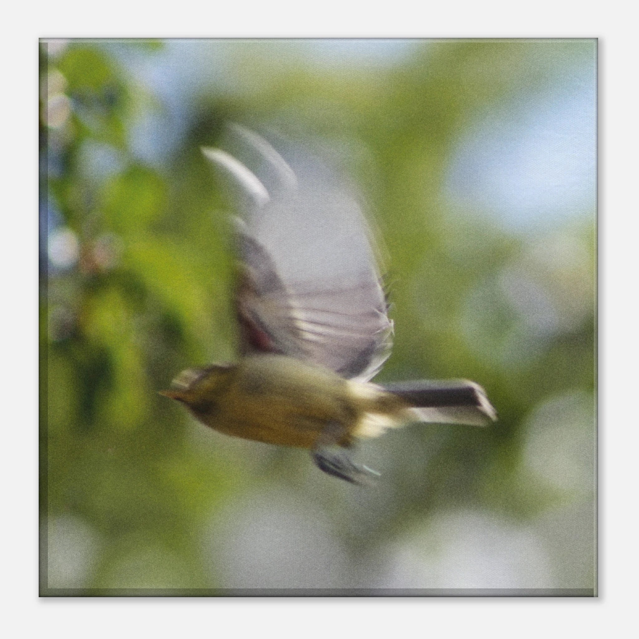 53fe6437-3927-4e60-ab53-21fb7aee94b8