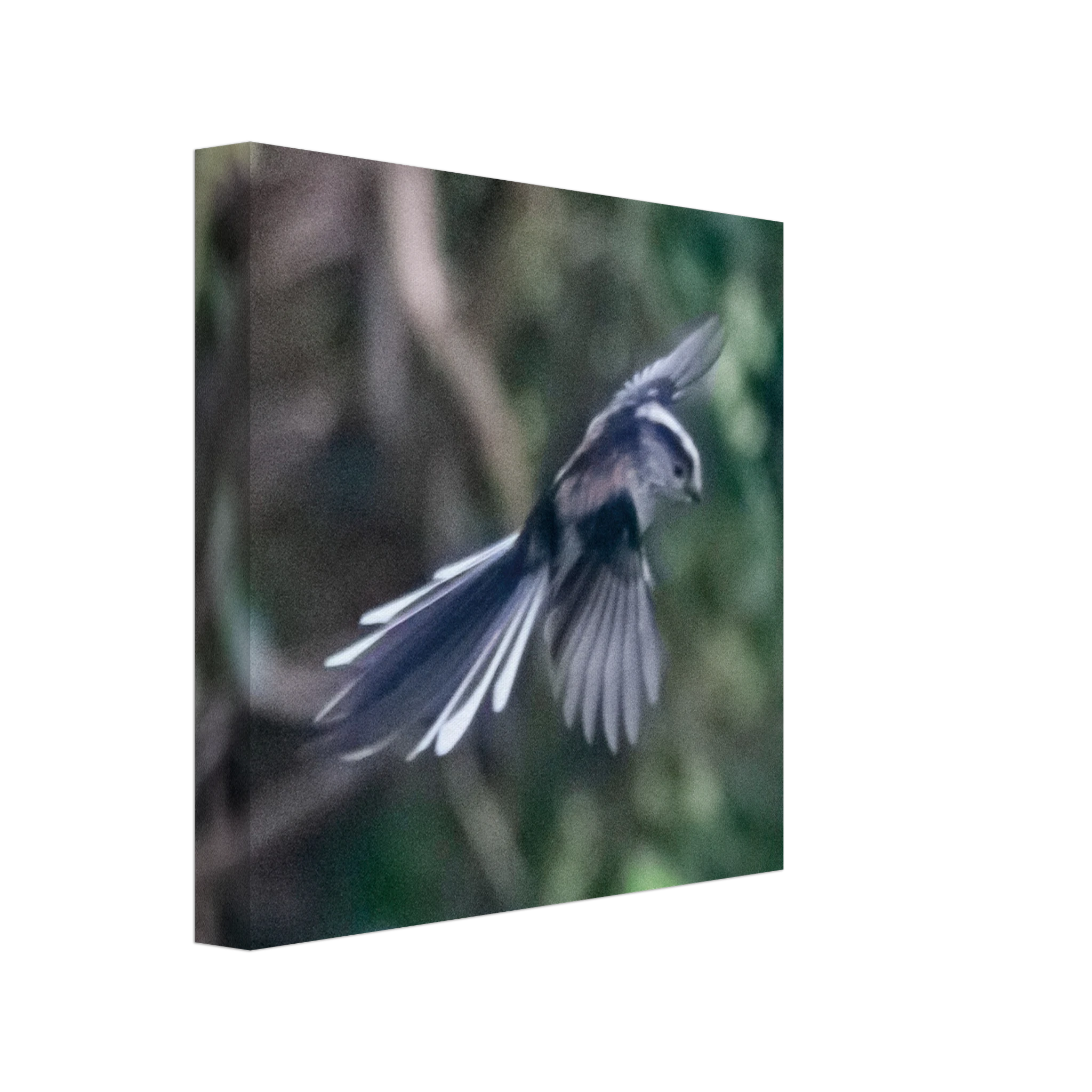 5bd91eb6-a0db-457e-b188-aa07a9c7c55d