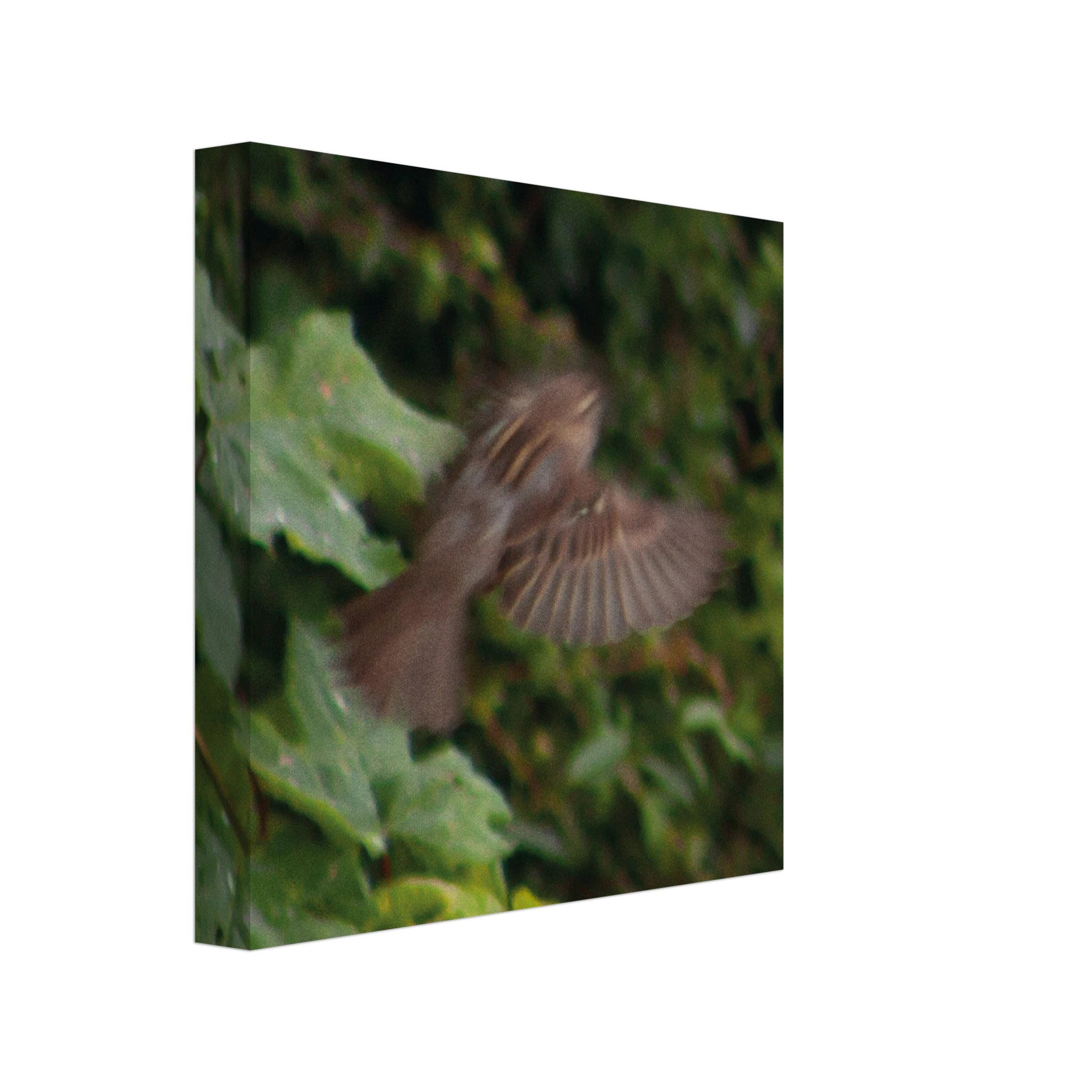 5e545cd5-7531-4563-8222-92dc9a722ea4