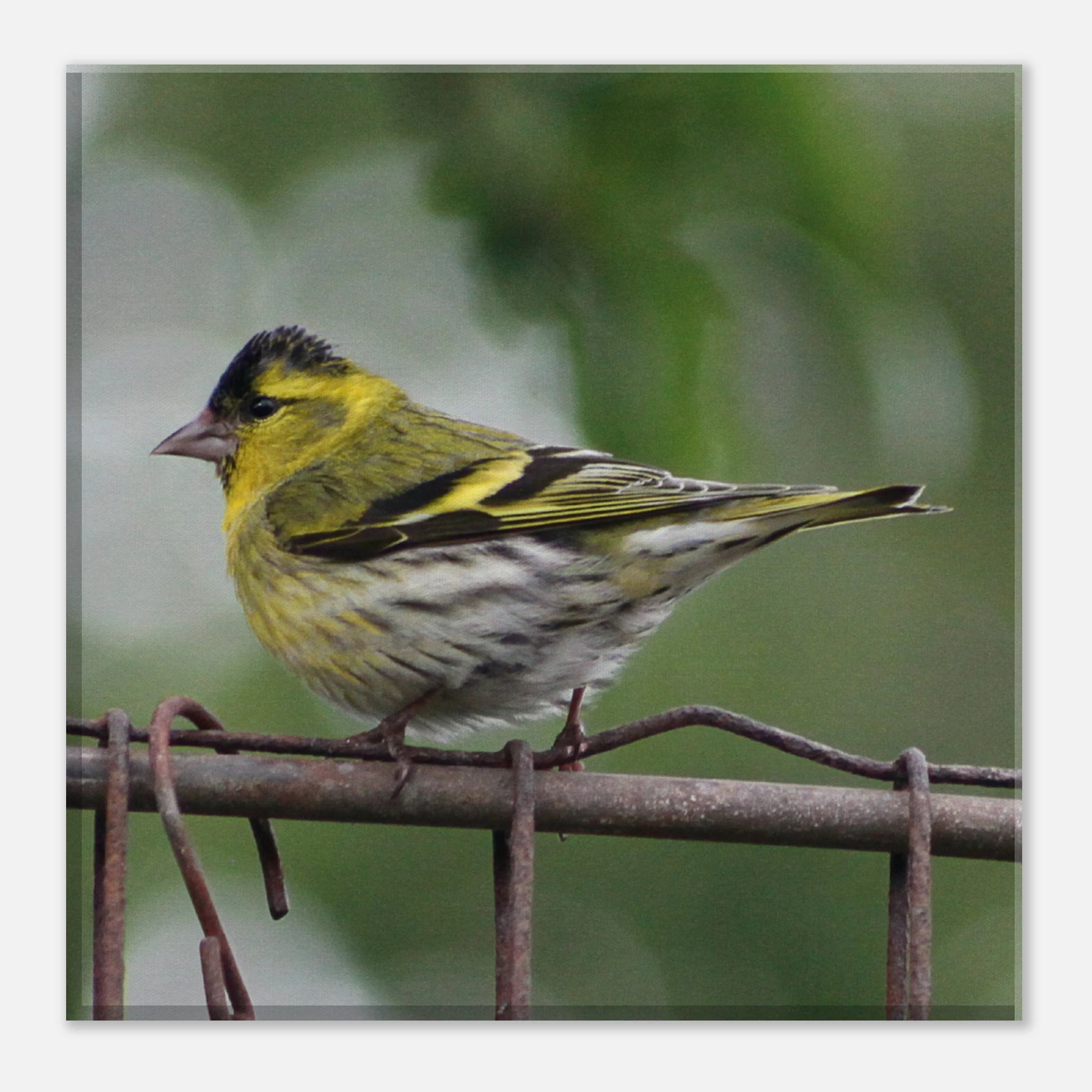 5fc74e46-e261-4a7b-85a6-4ae513144cb3