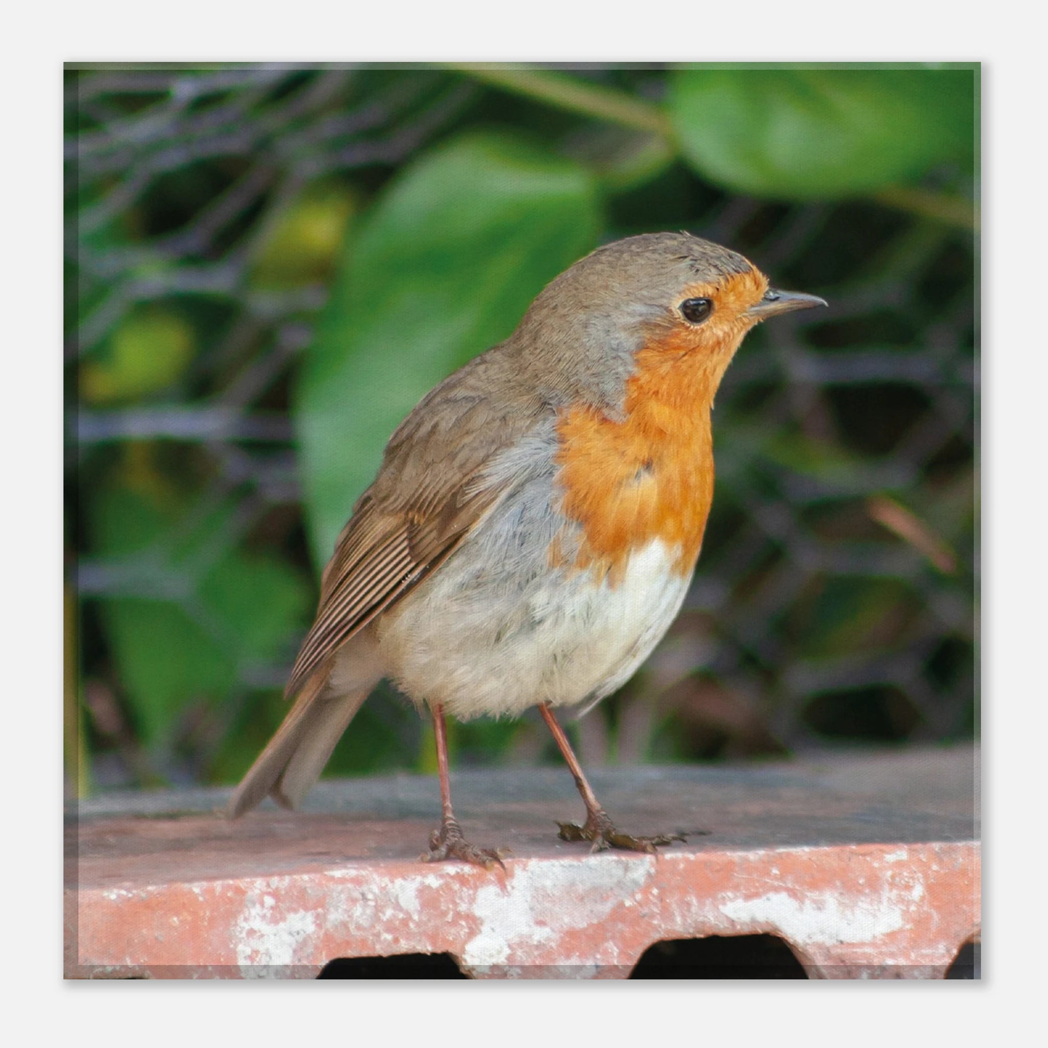 617ff143-61ce-4856-bc4b-cd1d5b24f49c