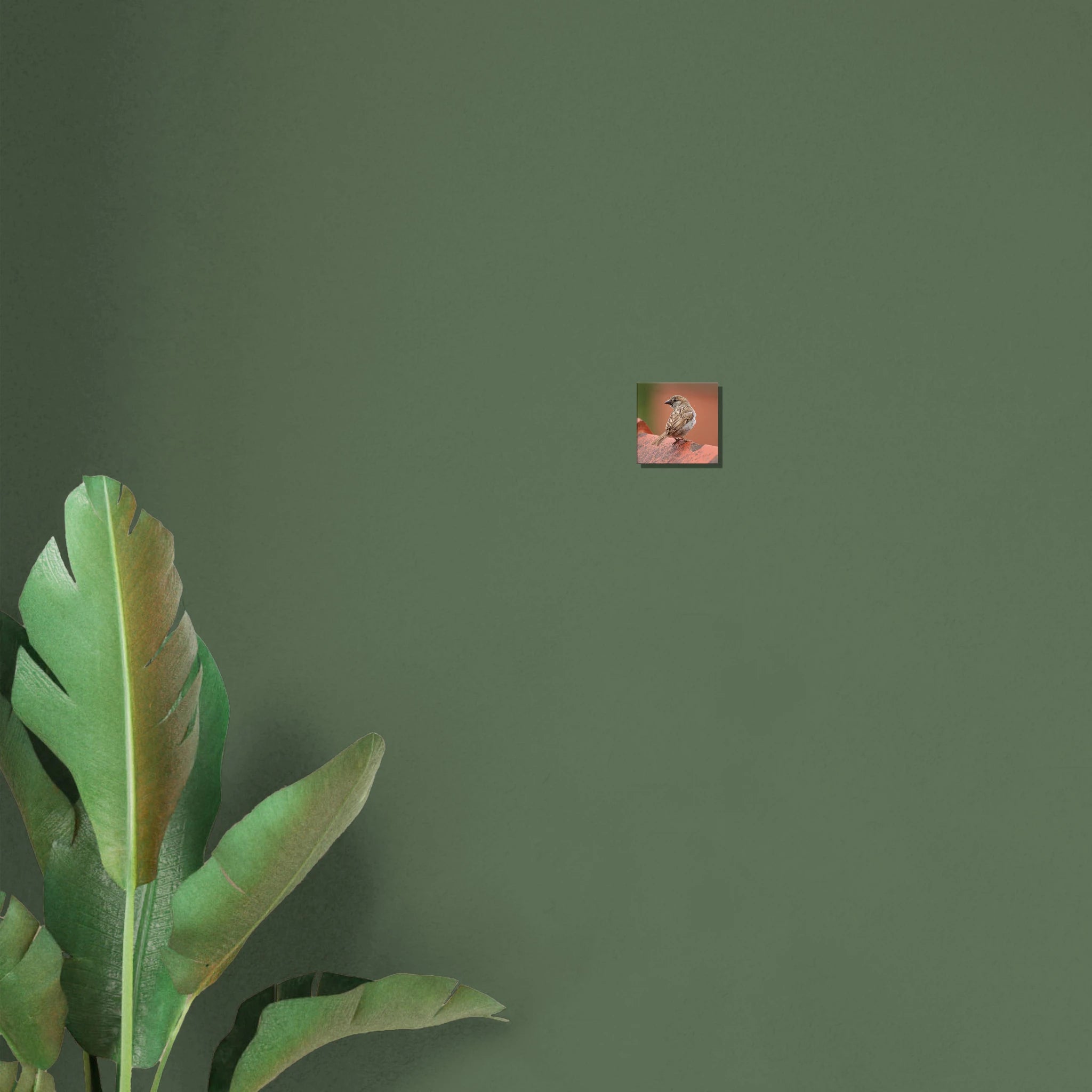 6ab5edb7-b6a1-4f0d-a5d2-c50ba3e1a6c4