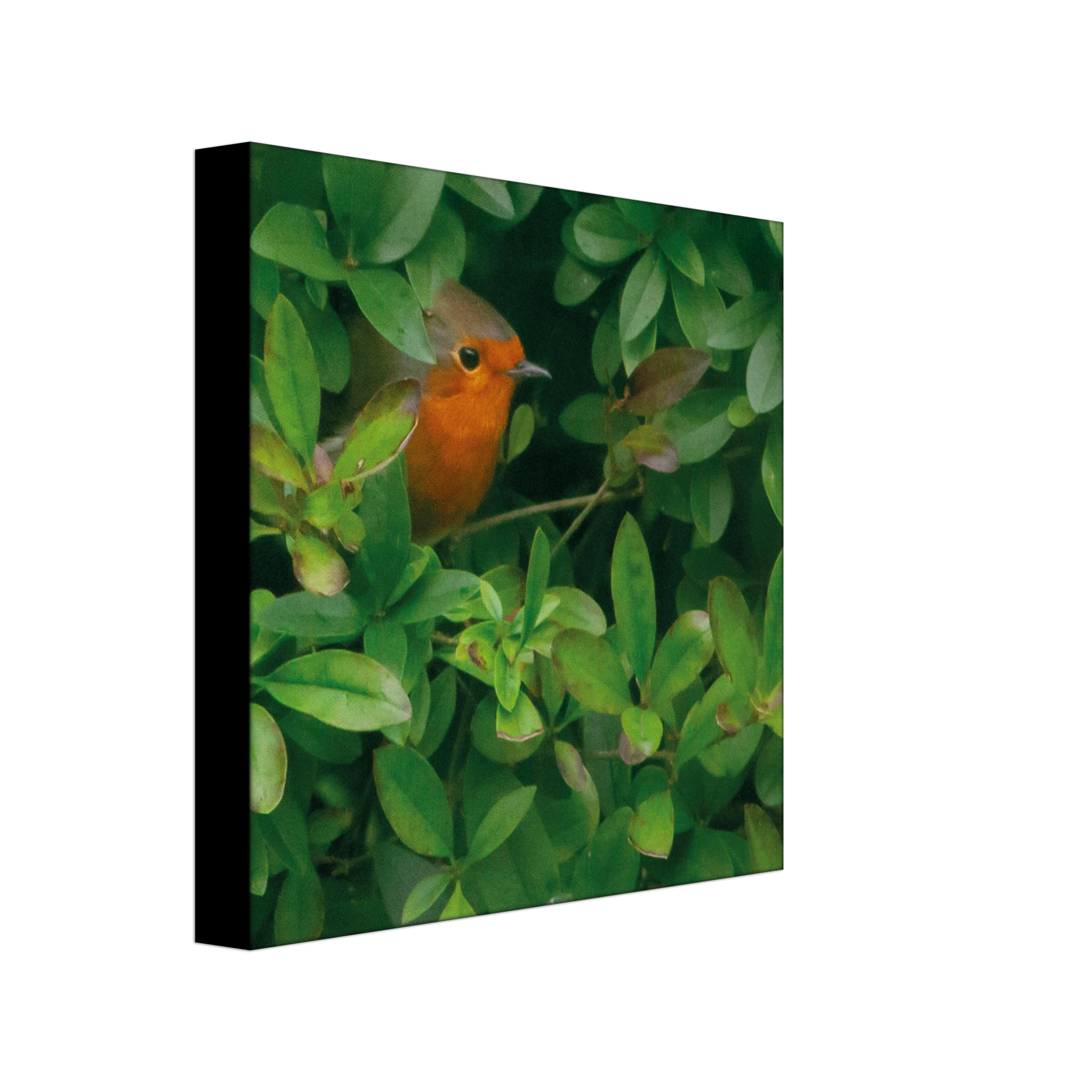 6ba6941f-da93-45f4-9557-83589e56feb4