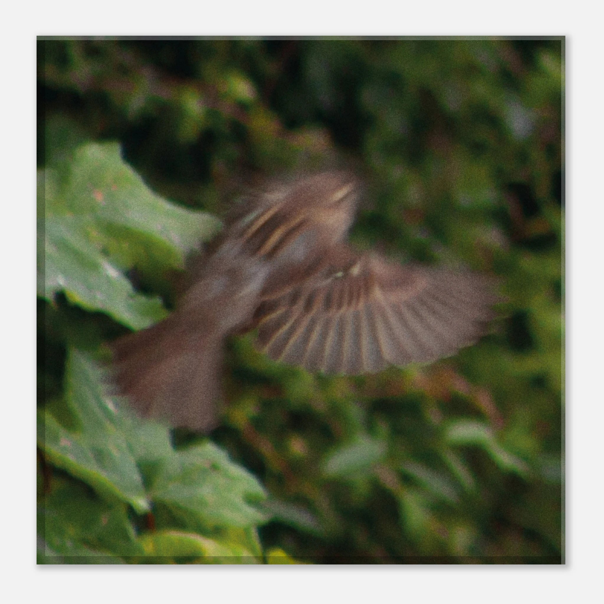 6d6470be-40c3-4fa3-adb9-a022ff5ce545