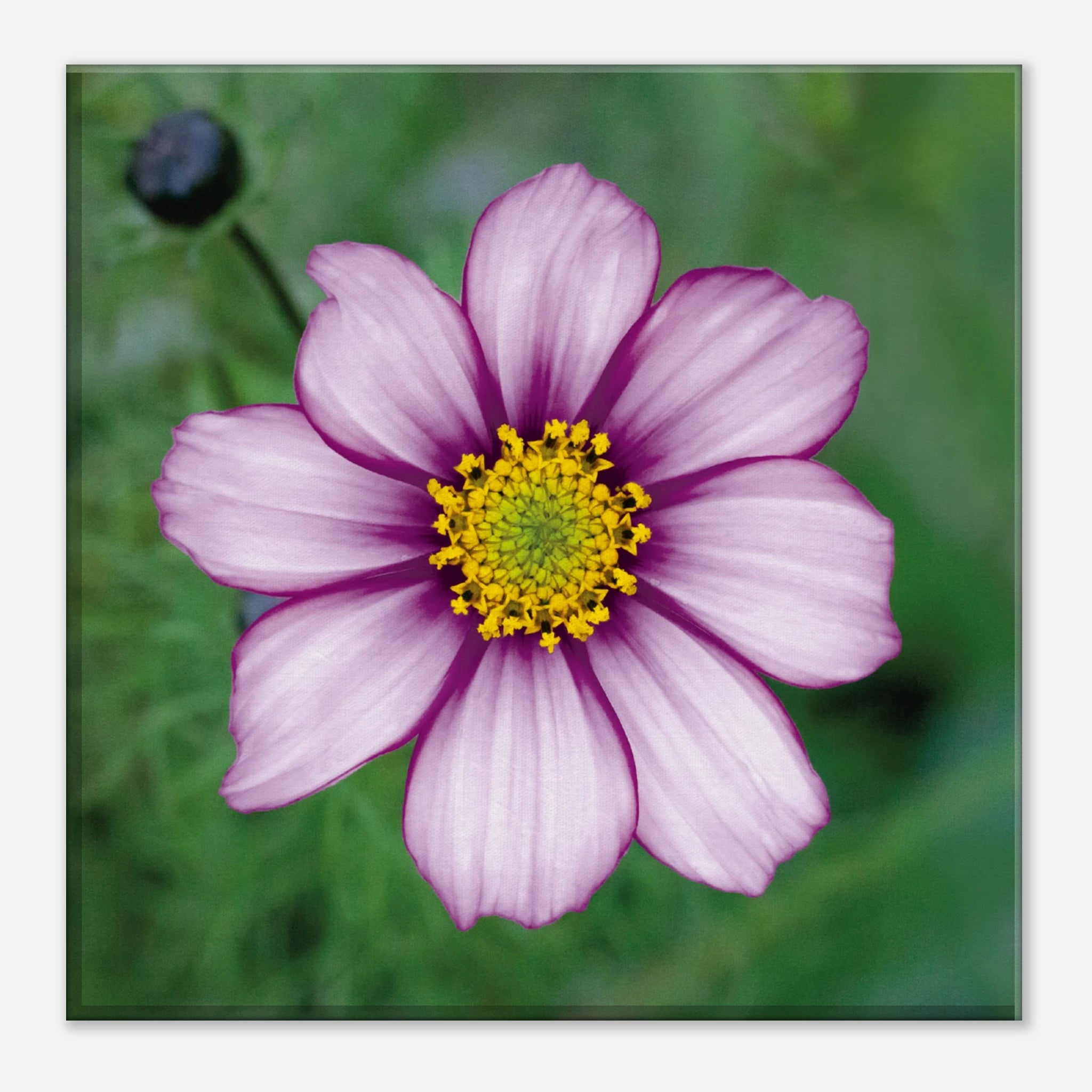 6f45f43e-328e-4a10-9dc6-daf05933766e