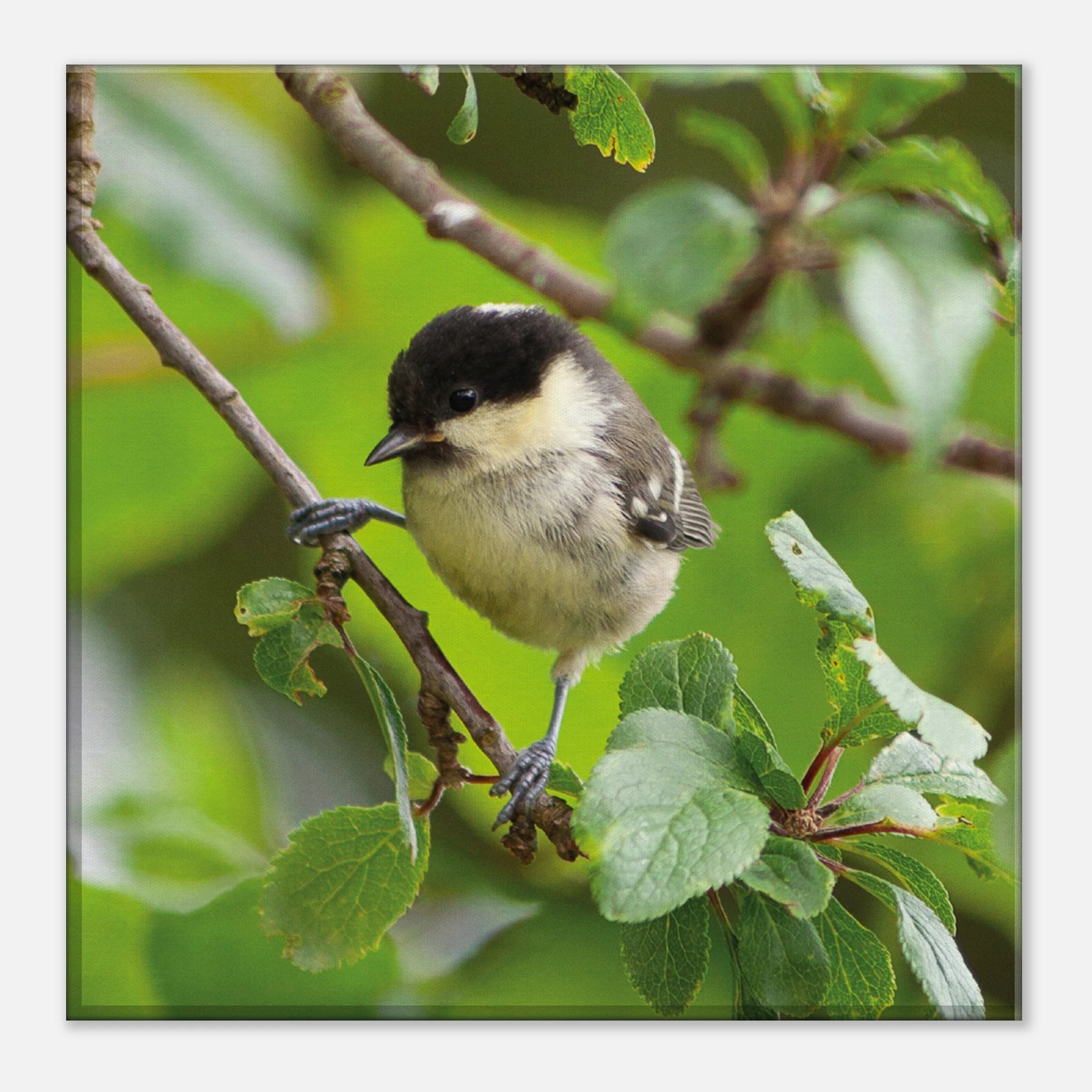 71cf4914-961f-4477-8dbb-70e2c77d0810