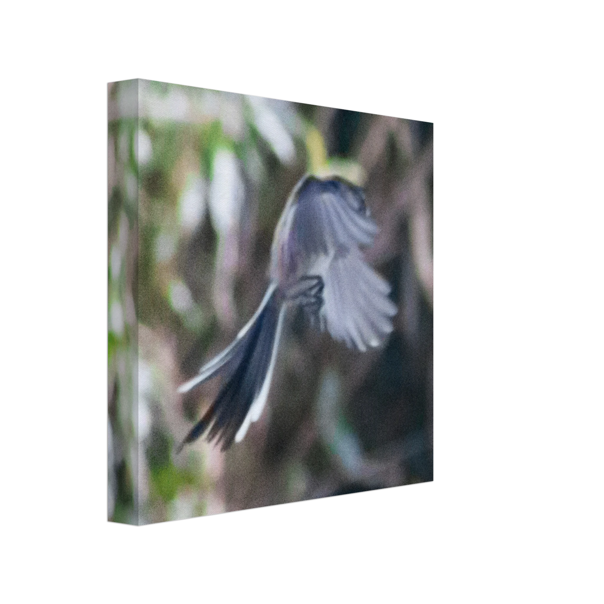 731648ea-d2a7-4f47-aab0-25526a946e74