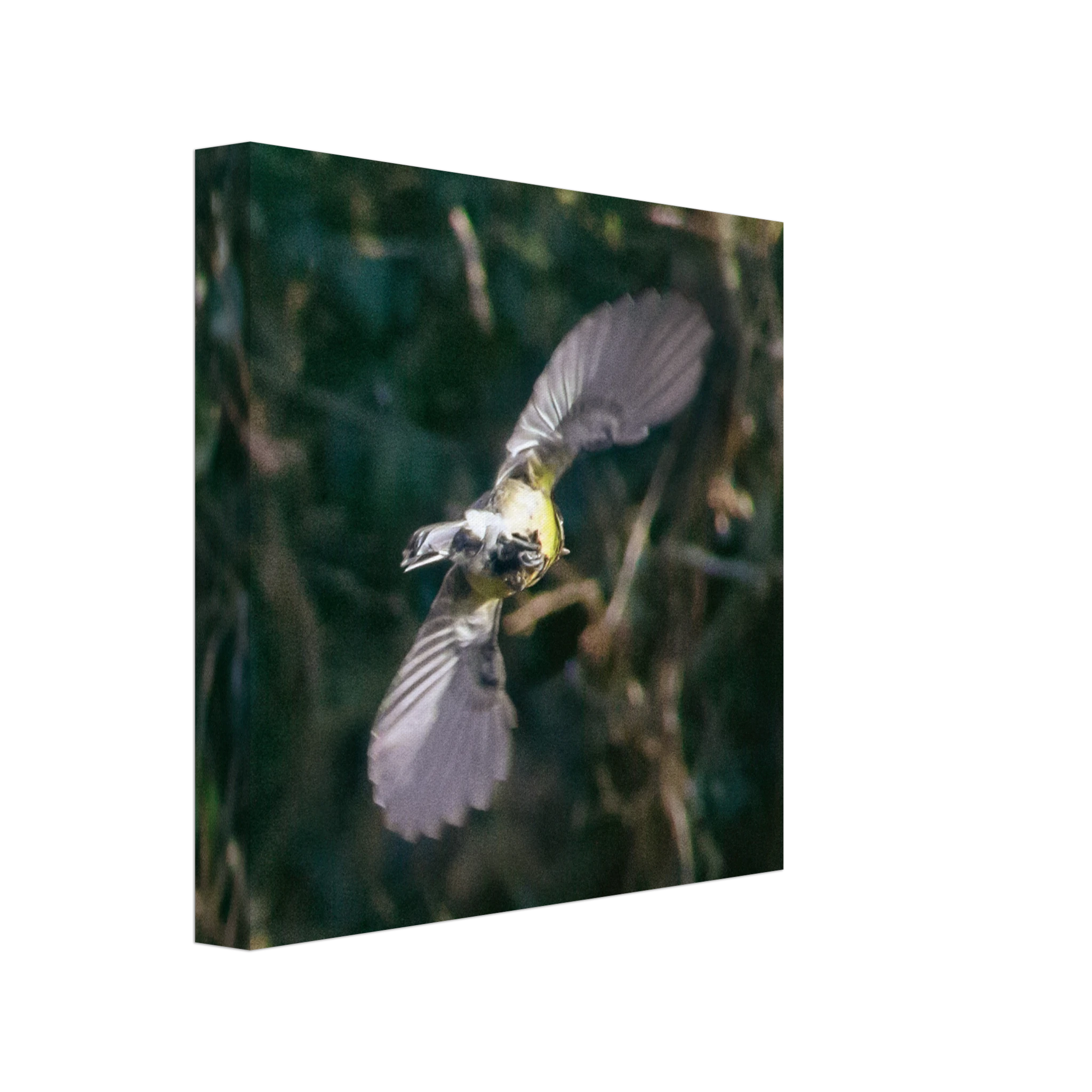 77768971-ef67-4e5e-b60f-ed7c4f3cafd7