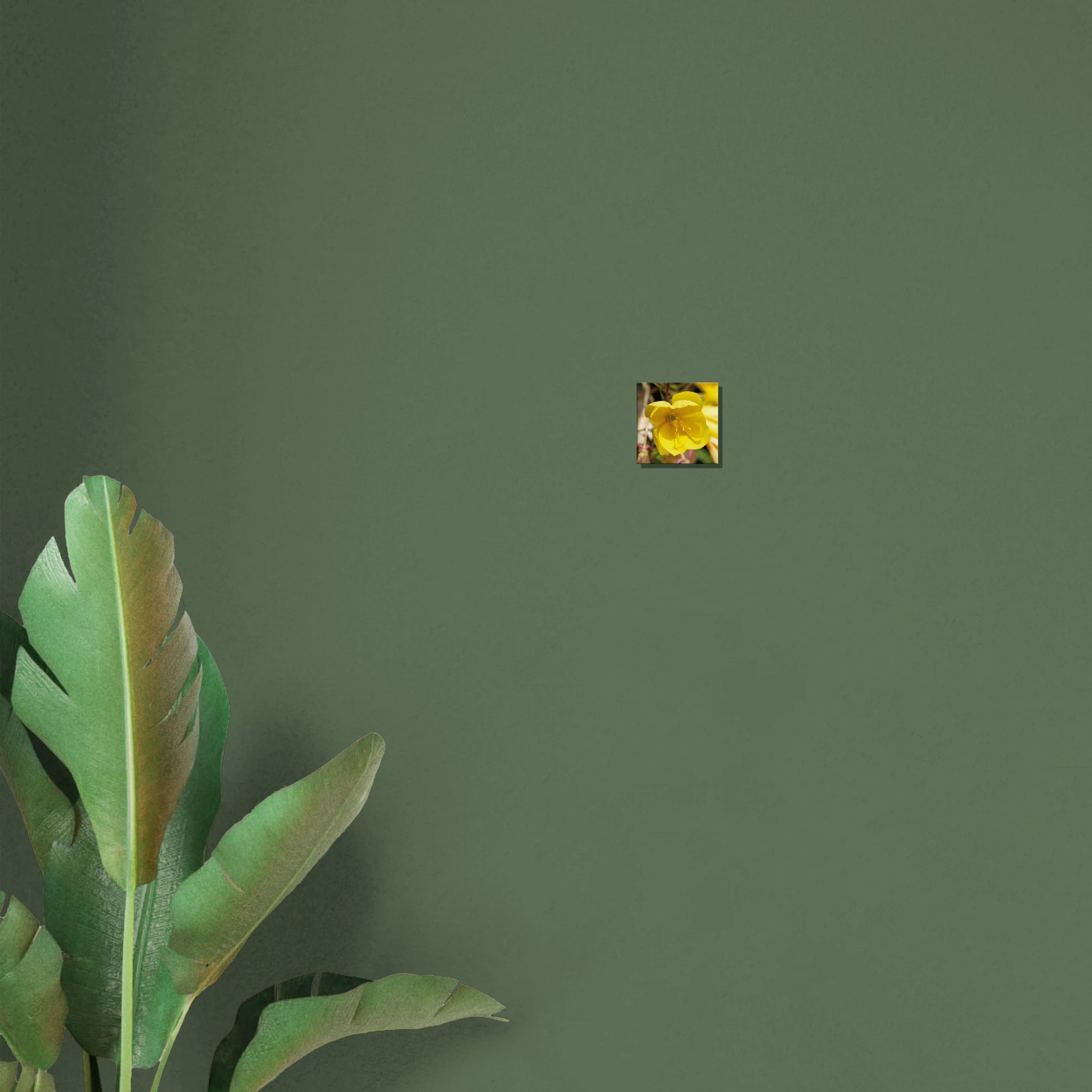 7b2260b5-61ec-46f4-9be7-28b3217c147d