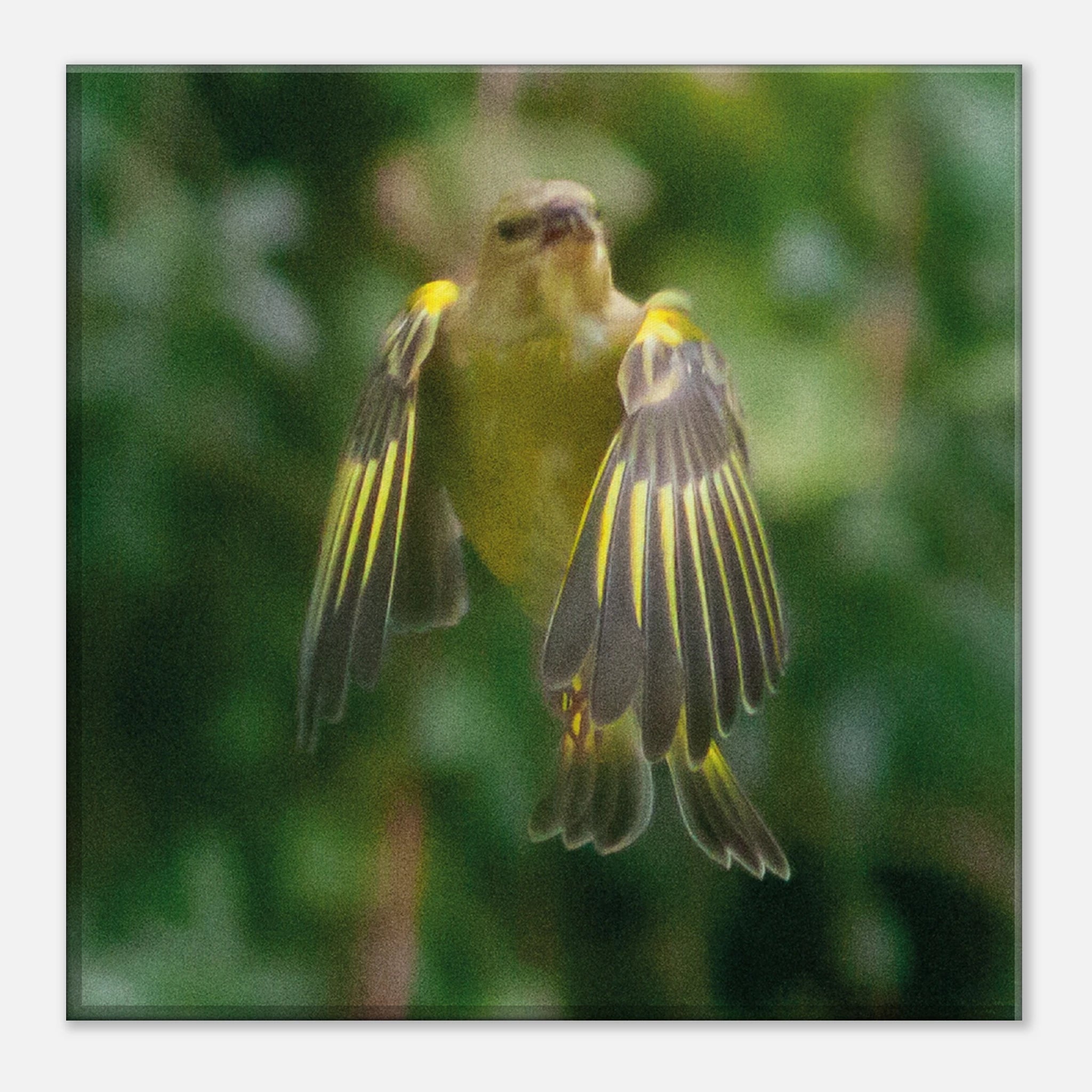 7c1e55bc-0d88-438a-973b-10d00b9b3a9b