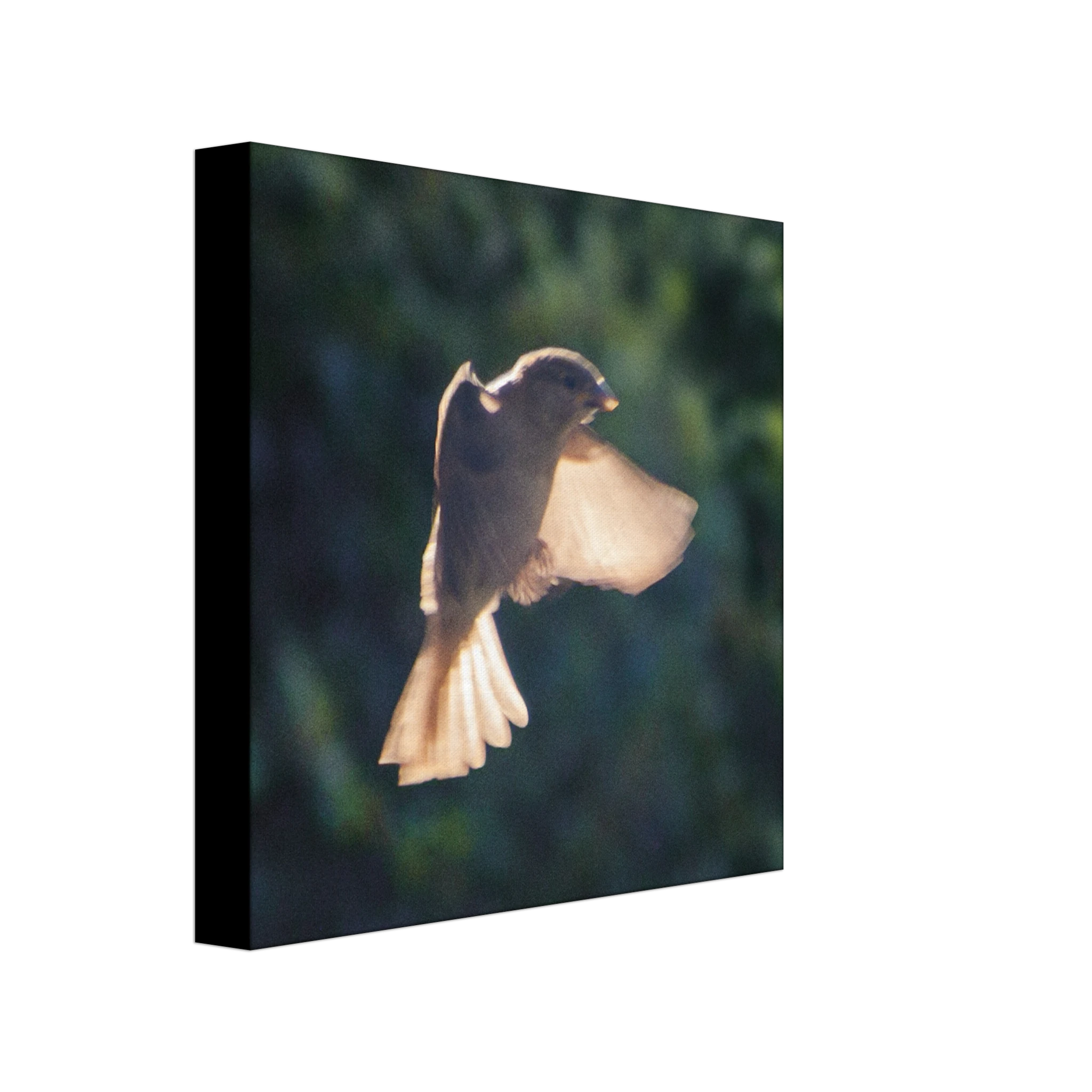 7cd1c369-8e3a-4df0-8ac0-14ca410dac39