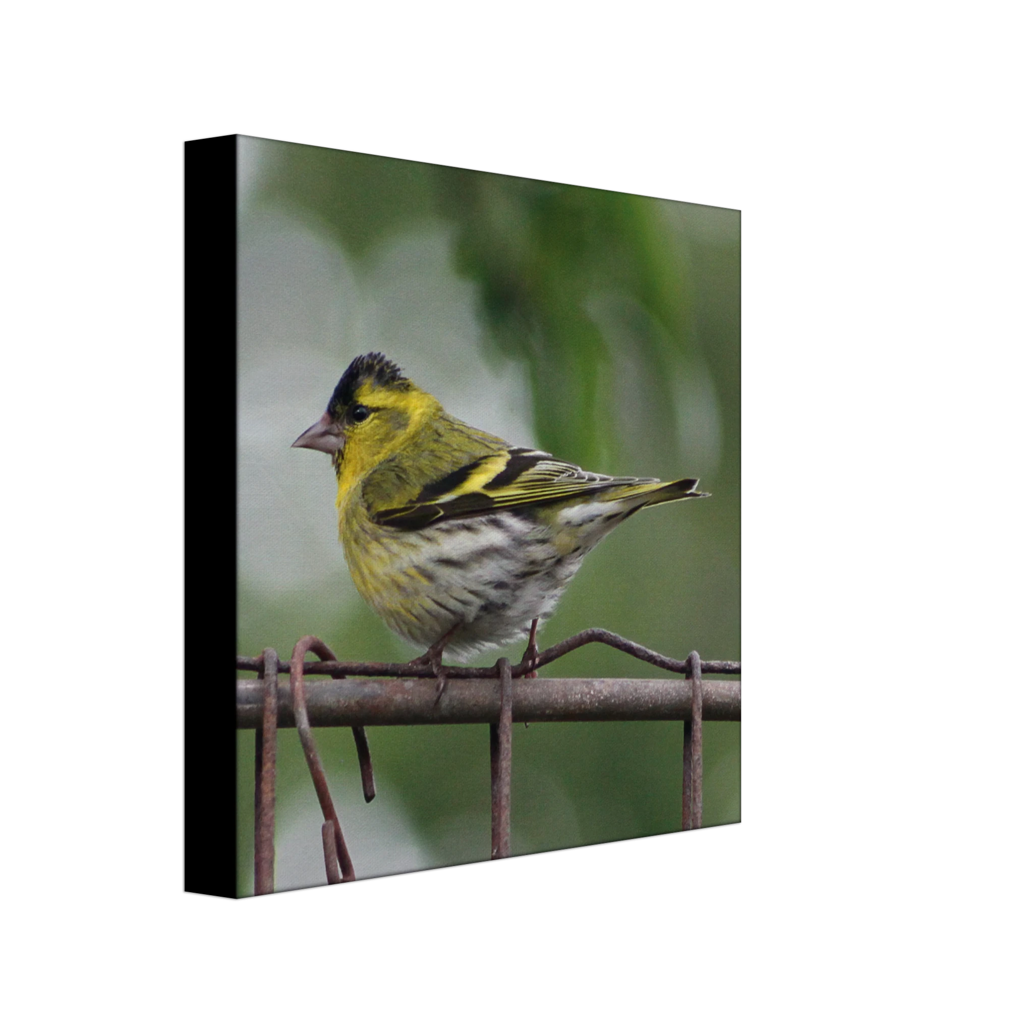 7e9e68f4-4110-40c2-a75a-9c3849d324a9