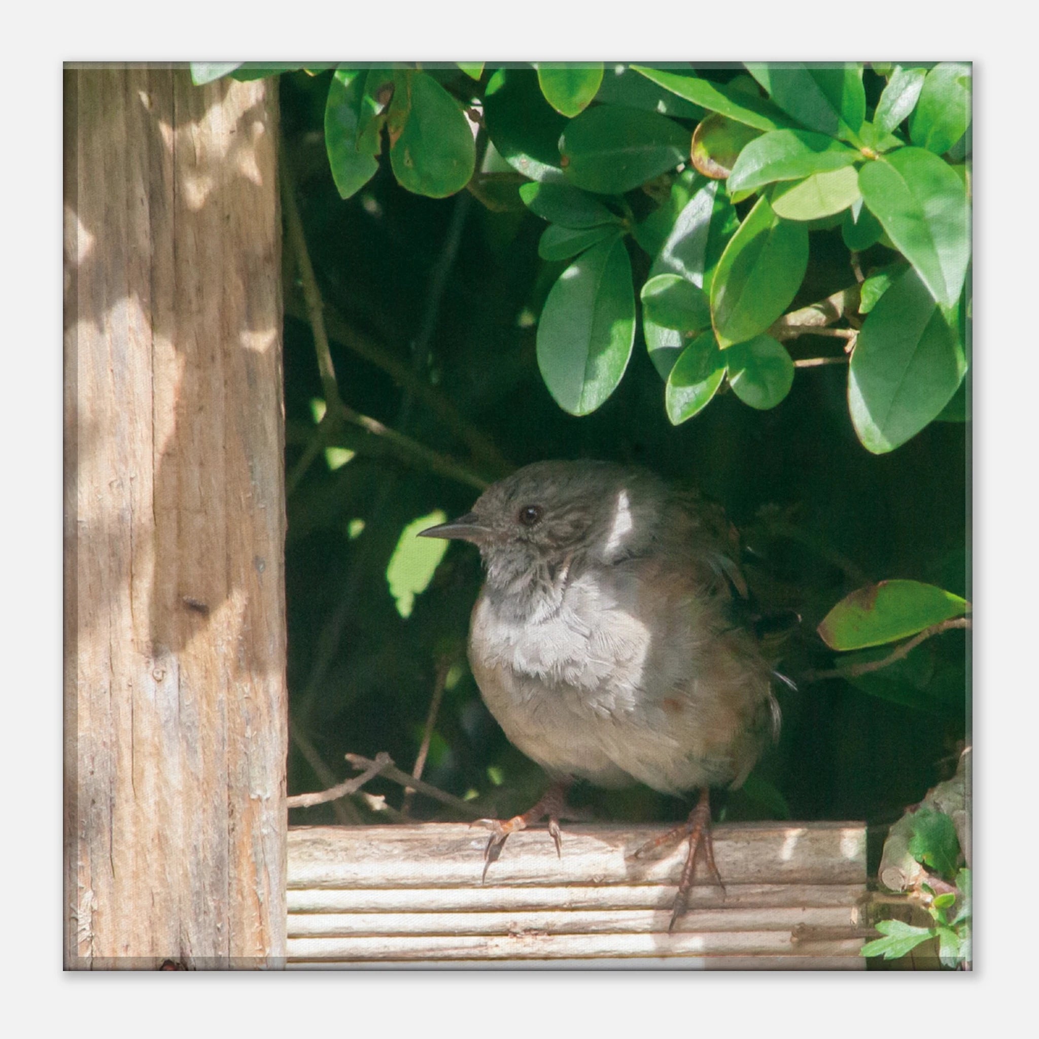 80ce71e6-5d29-4661-b751-1dcd25017e3a